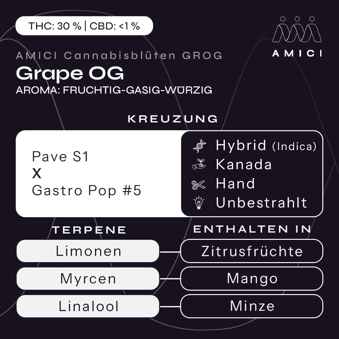 30/1 Amici GROG