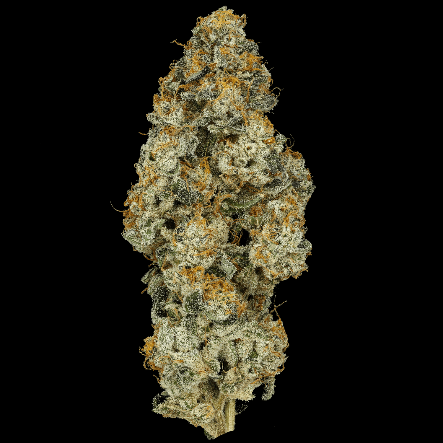 Med. Cannabis