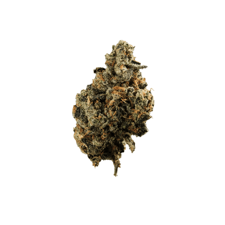 420 EVOLUTION 22/1 CA FLM