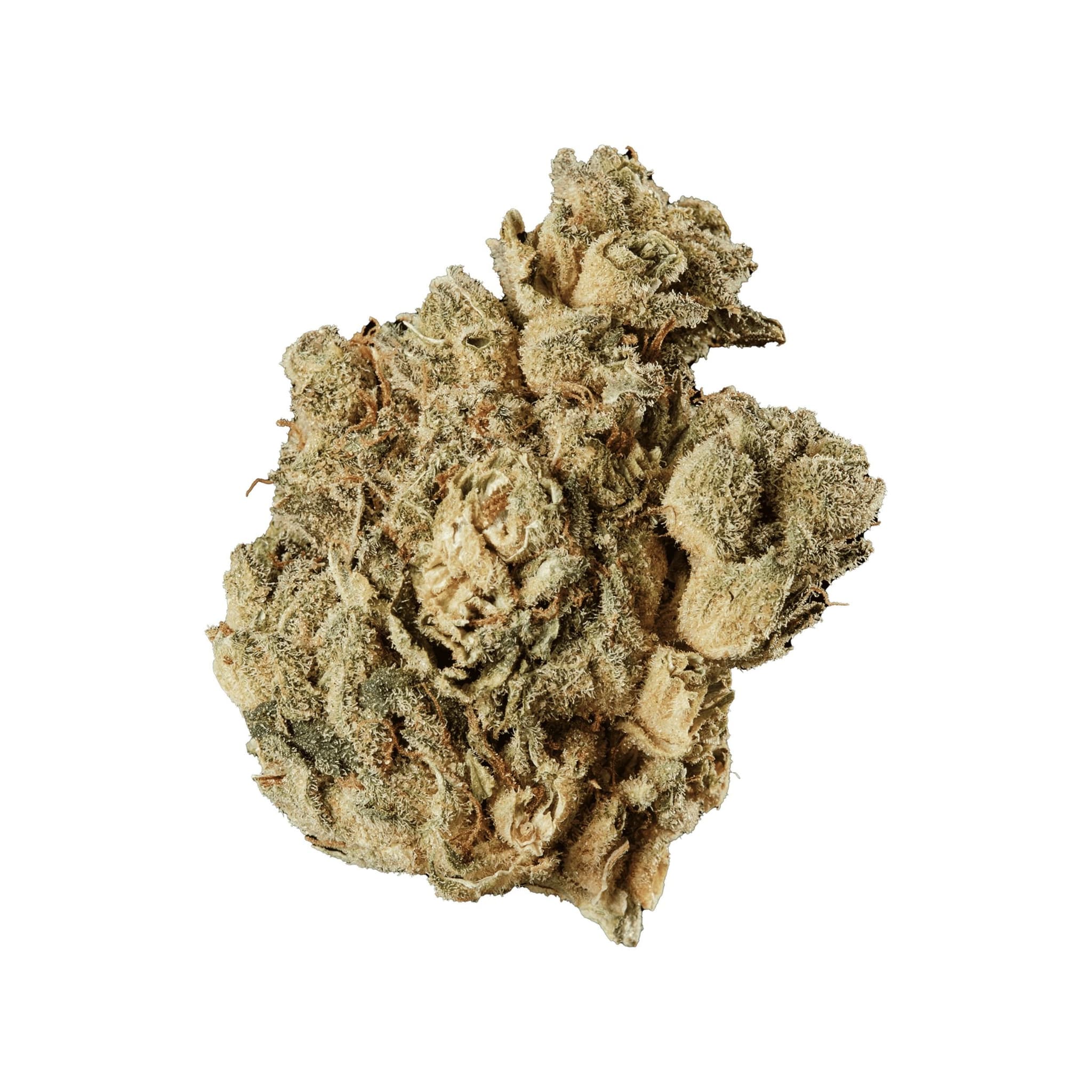 420 EVOLUTION 22/1 CA PVB