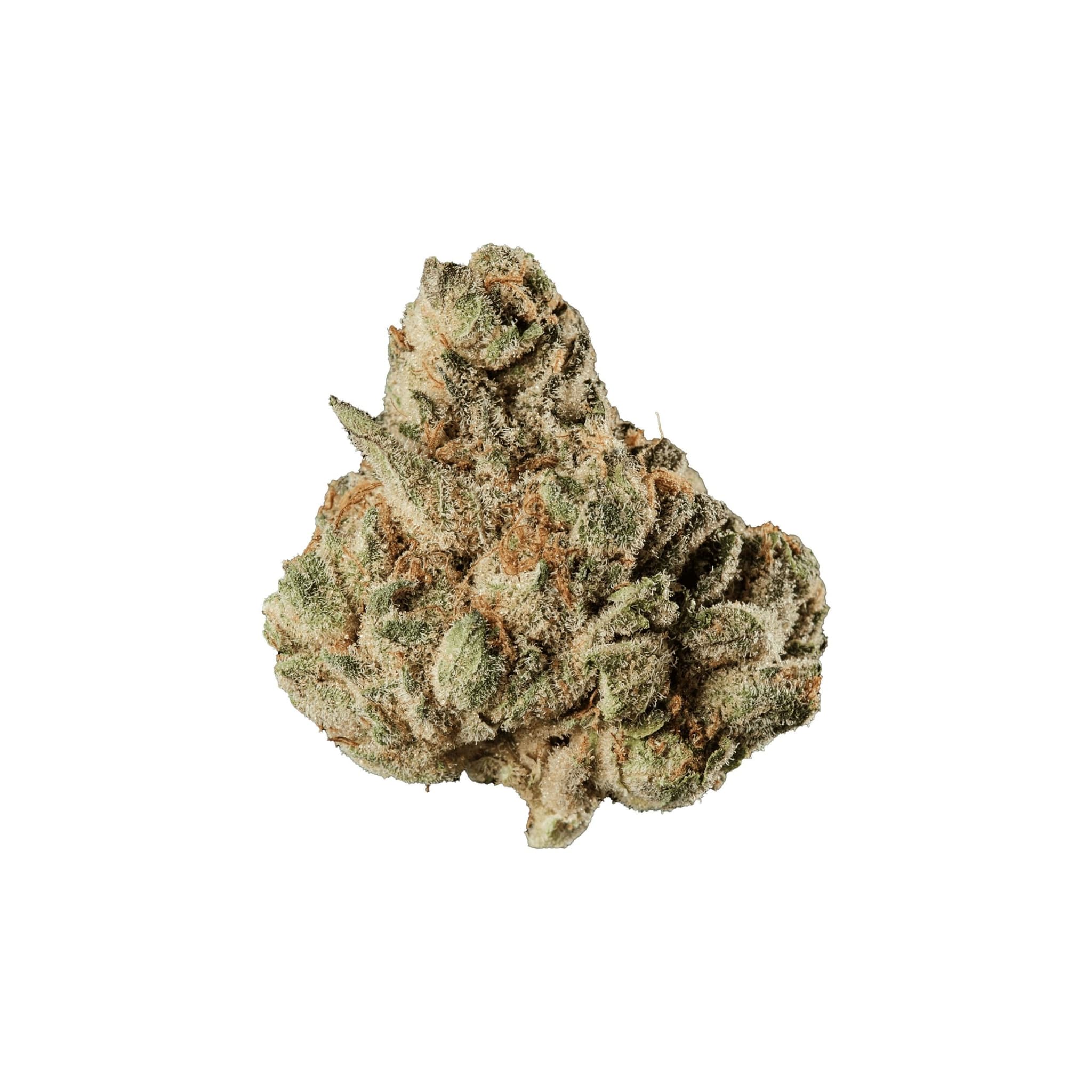 420 EVOLUTION 27/1 CA MFG