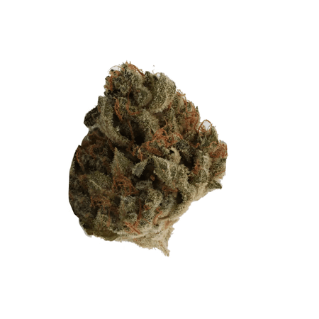 420 EVOLUTION 30/1 CA LCG