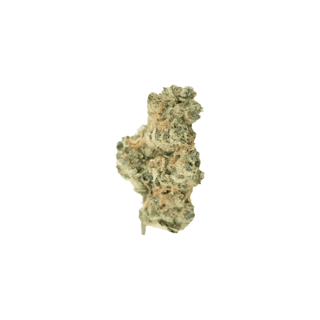 420 EVOLUTION 33/1 CA GMO