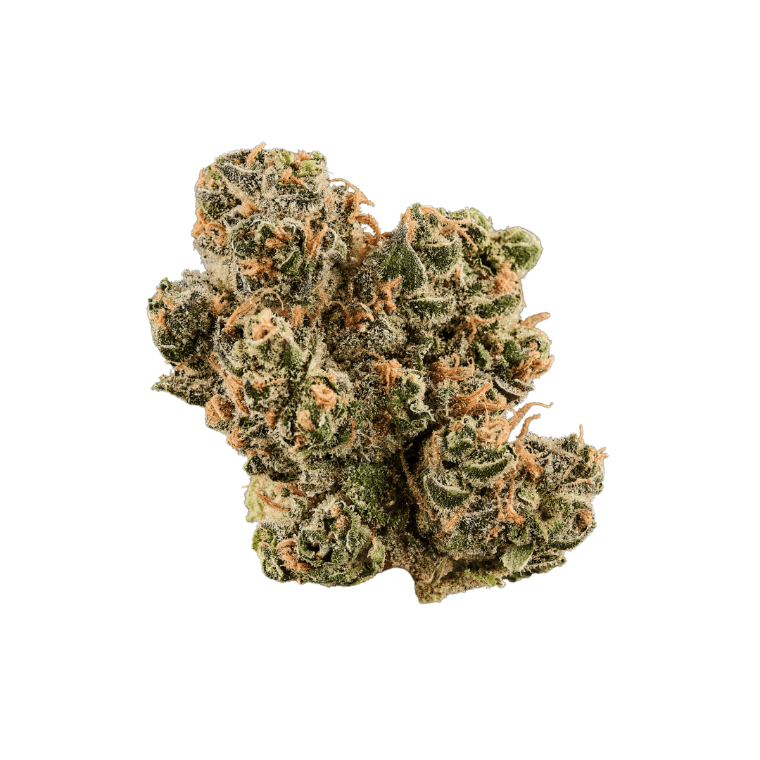 420 Evolution 22/1 CA GG4