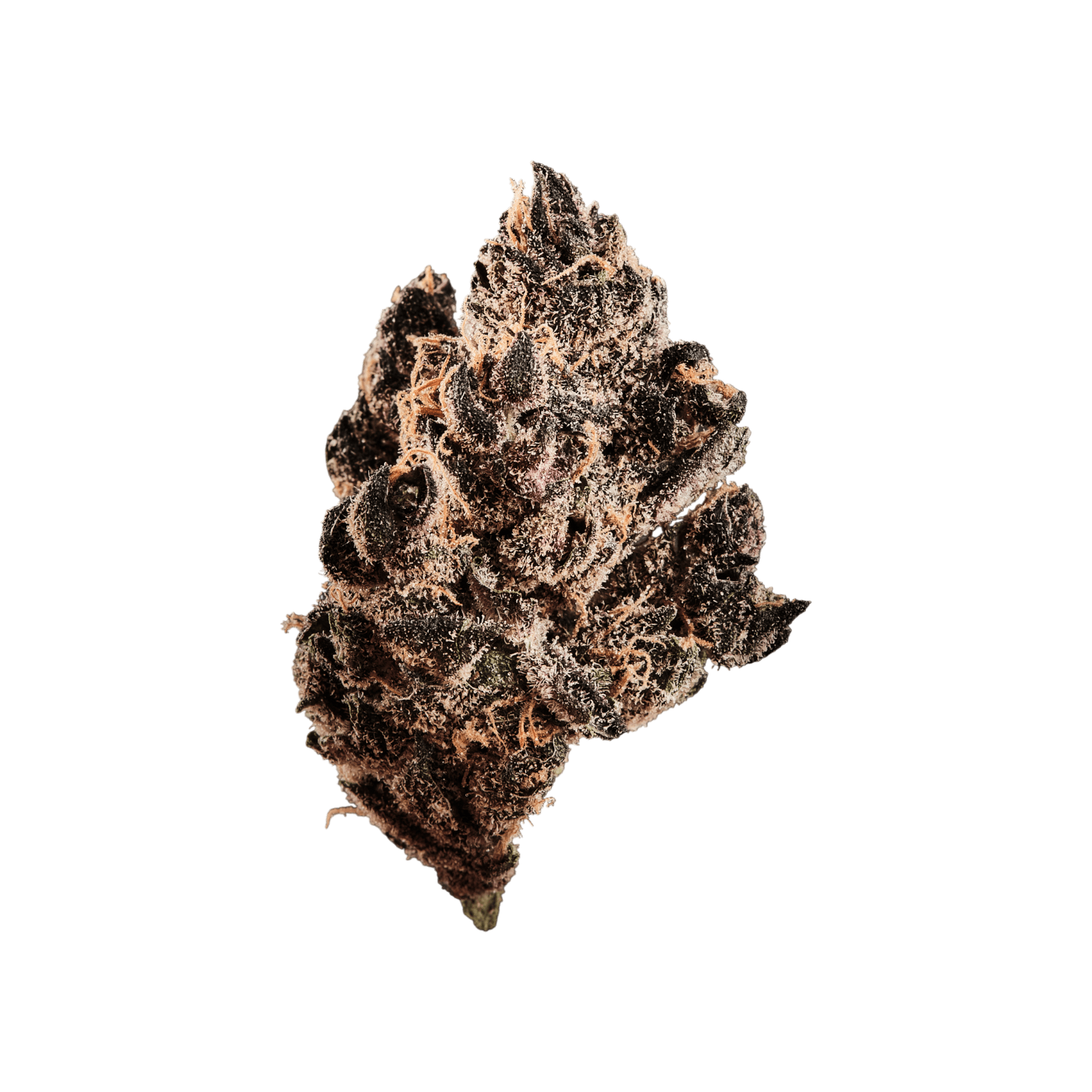 420 Evolution 25/1 CA TGP