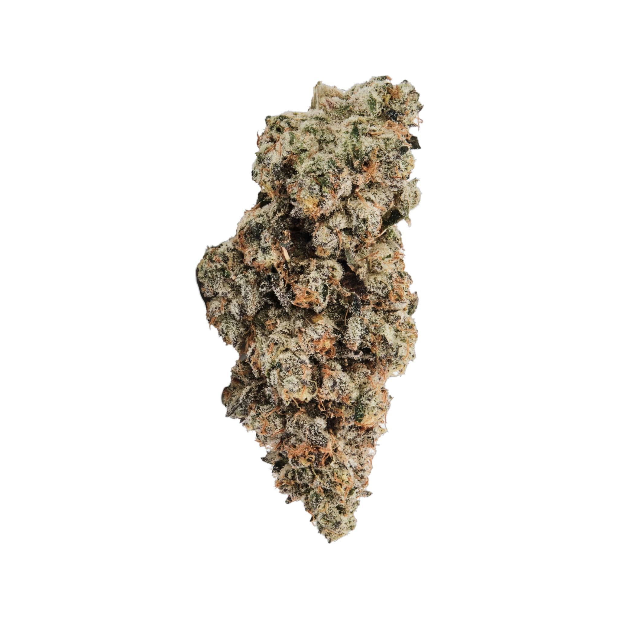 420 Evolution 30/1 CA WES