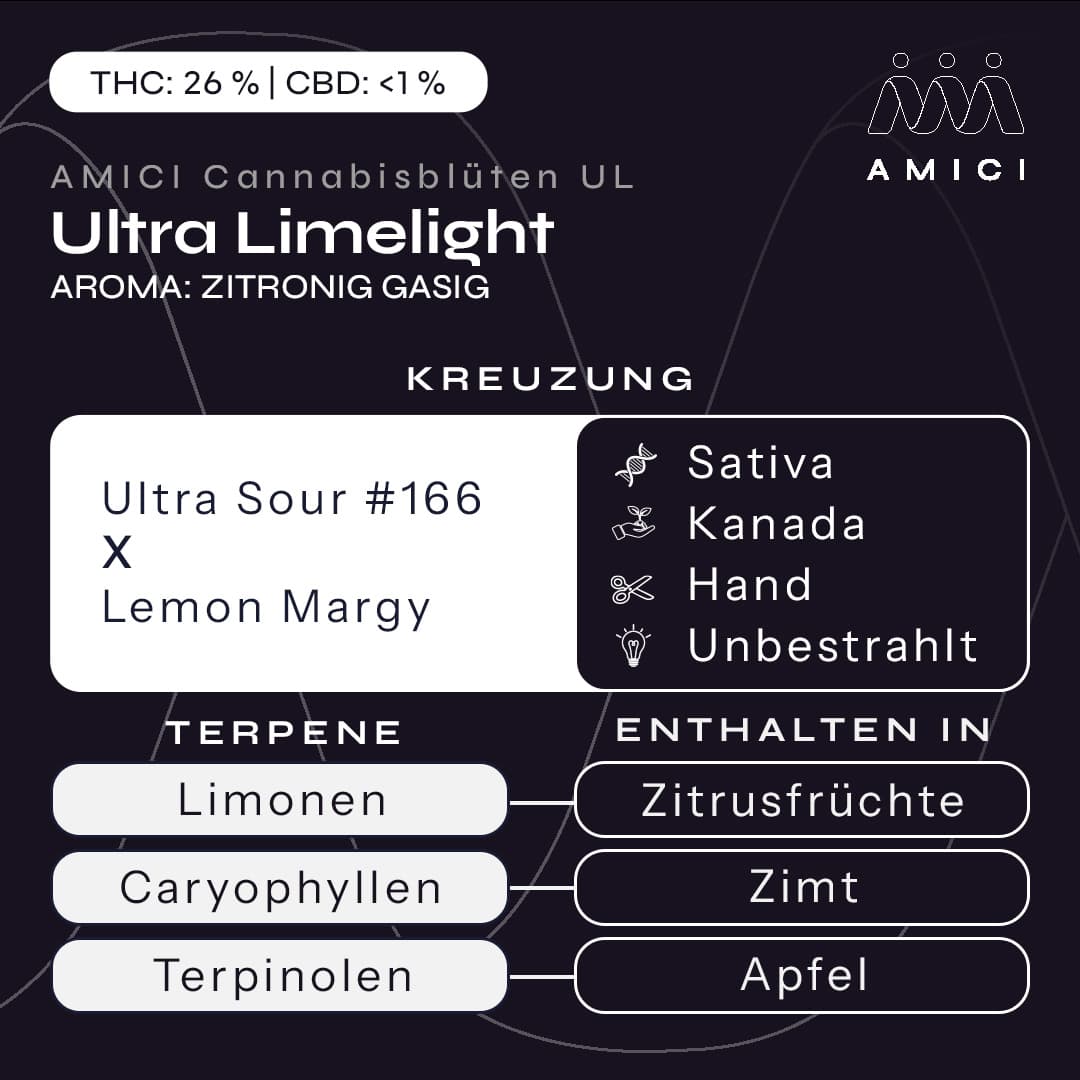 Amici 26/1 UL