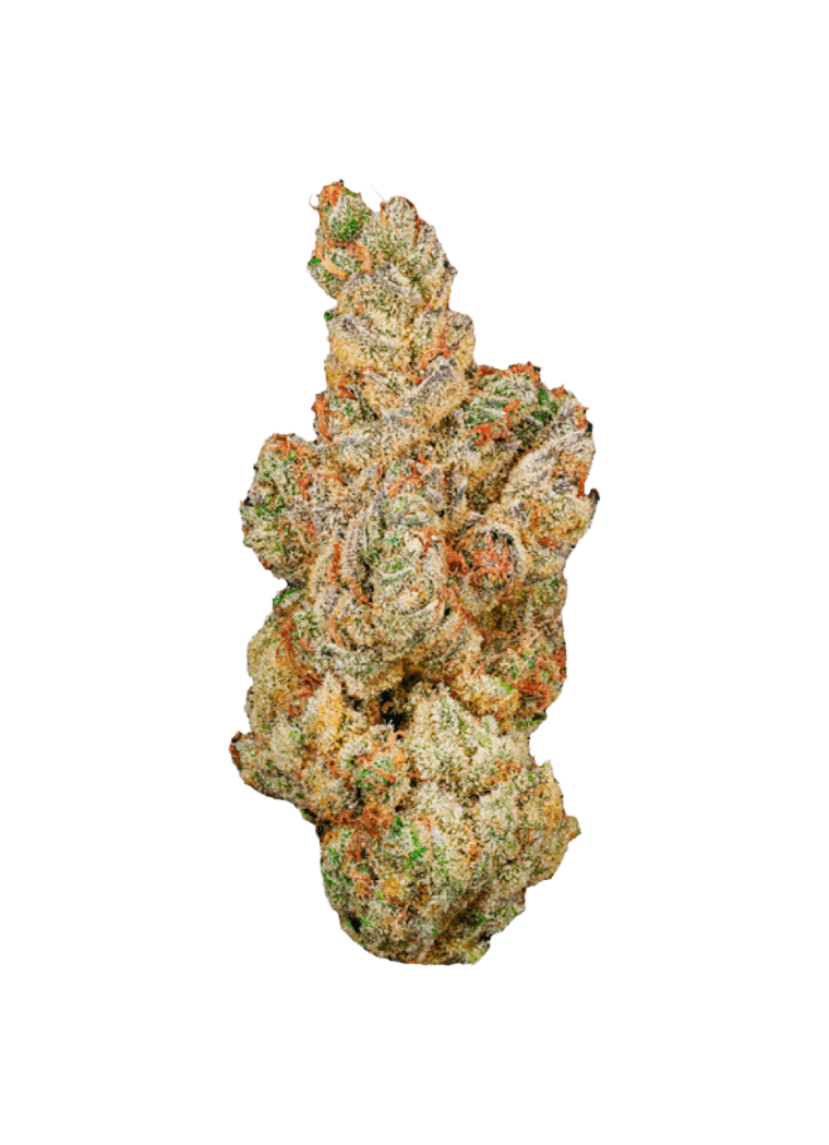 AMP OMG BURGER THC 27