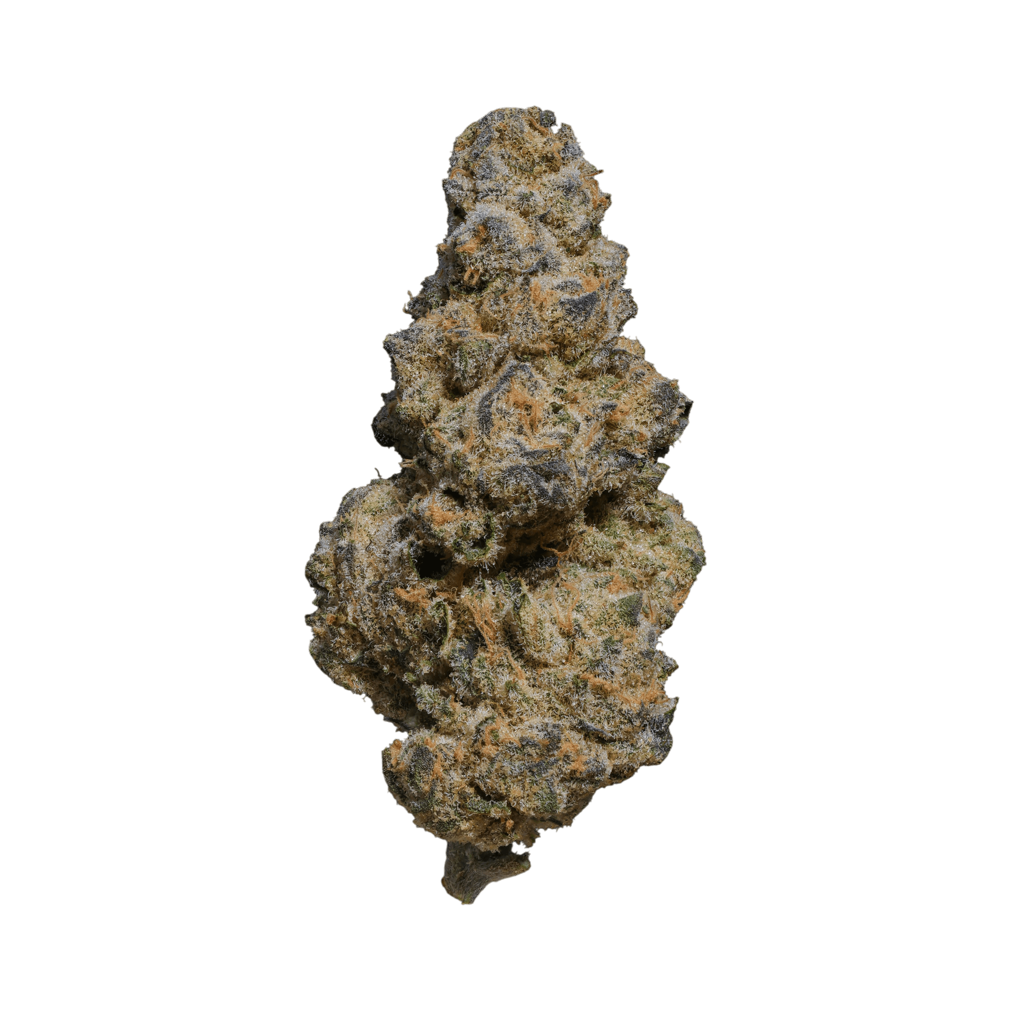 AMP Trichome CCC THC 30