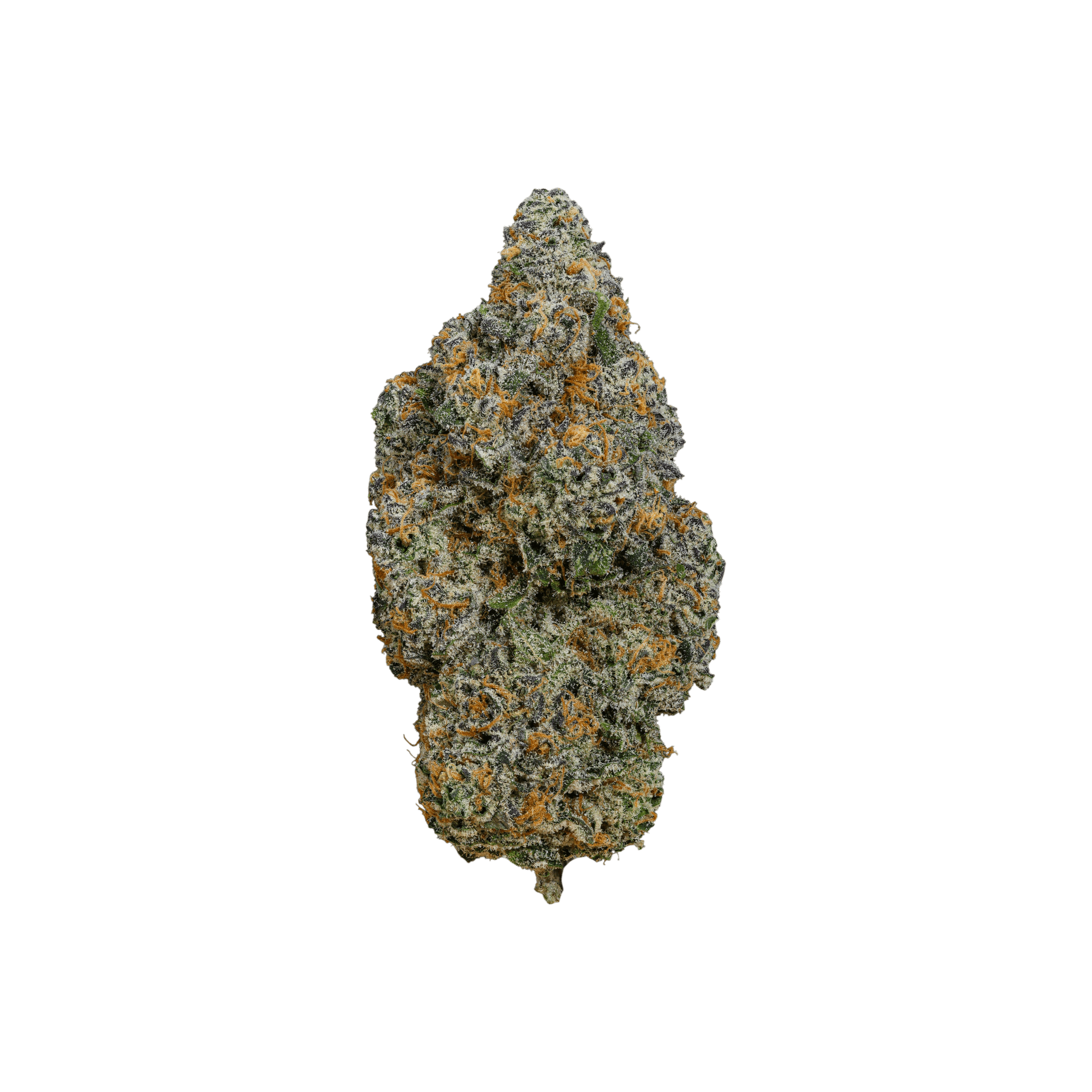 AMP Trichome GPP THC 24