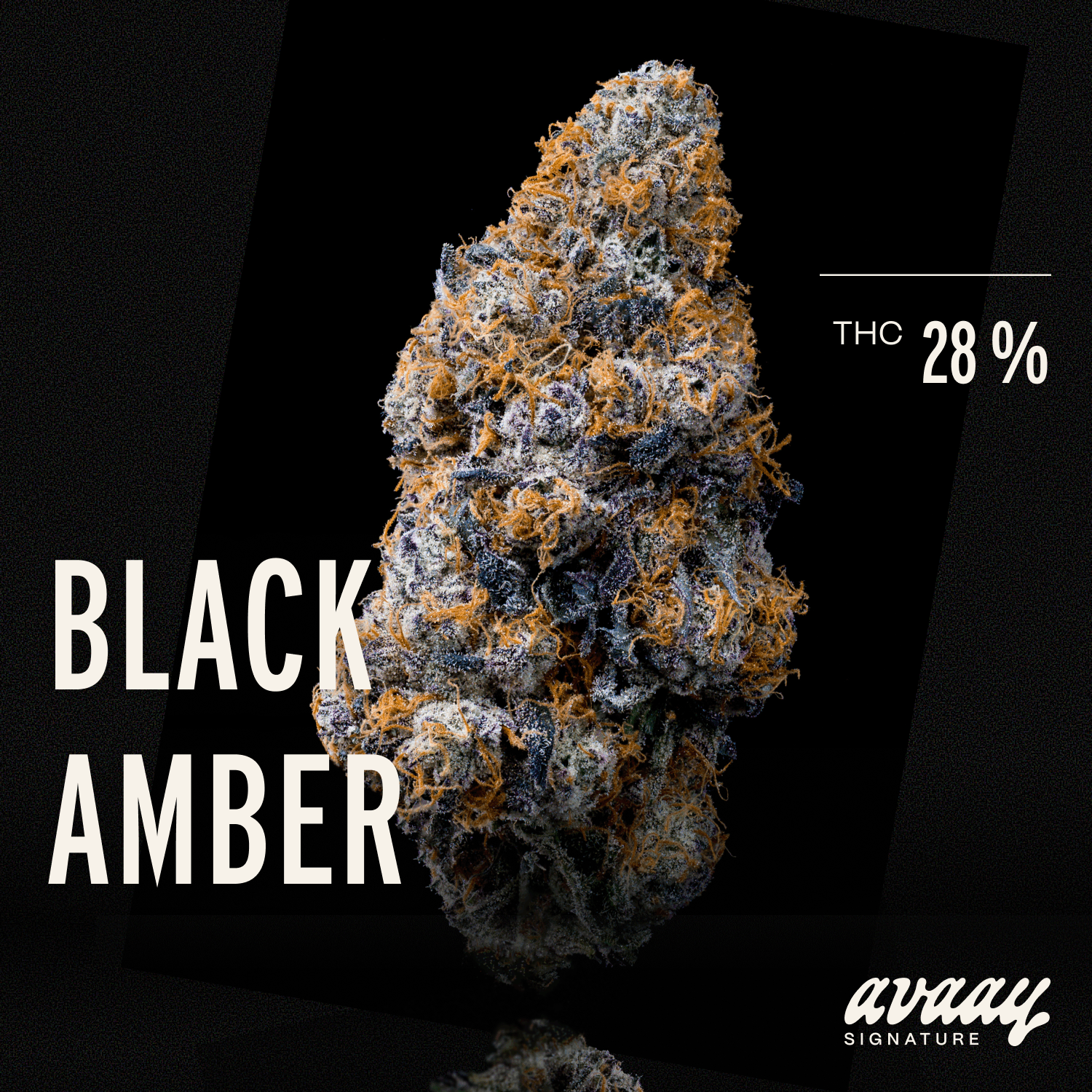 Med. Cannabis