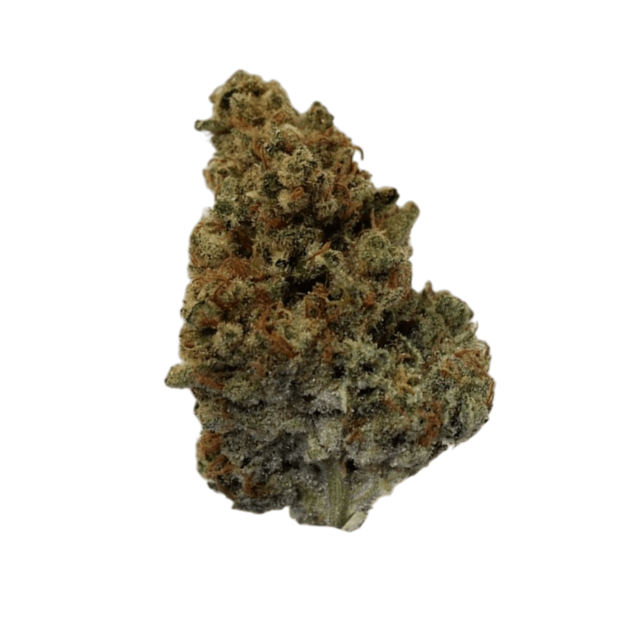 Med. Cannabis