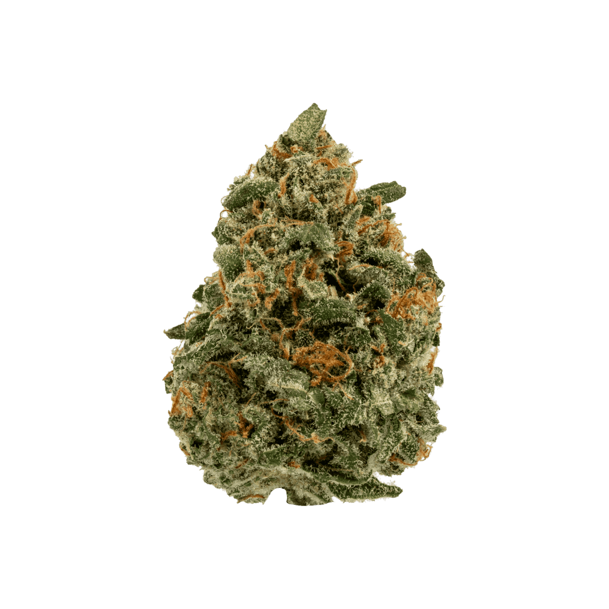 Med. Cannabis