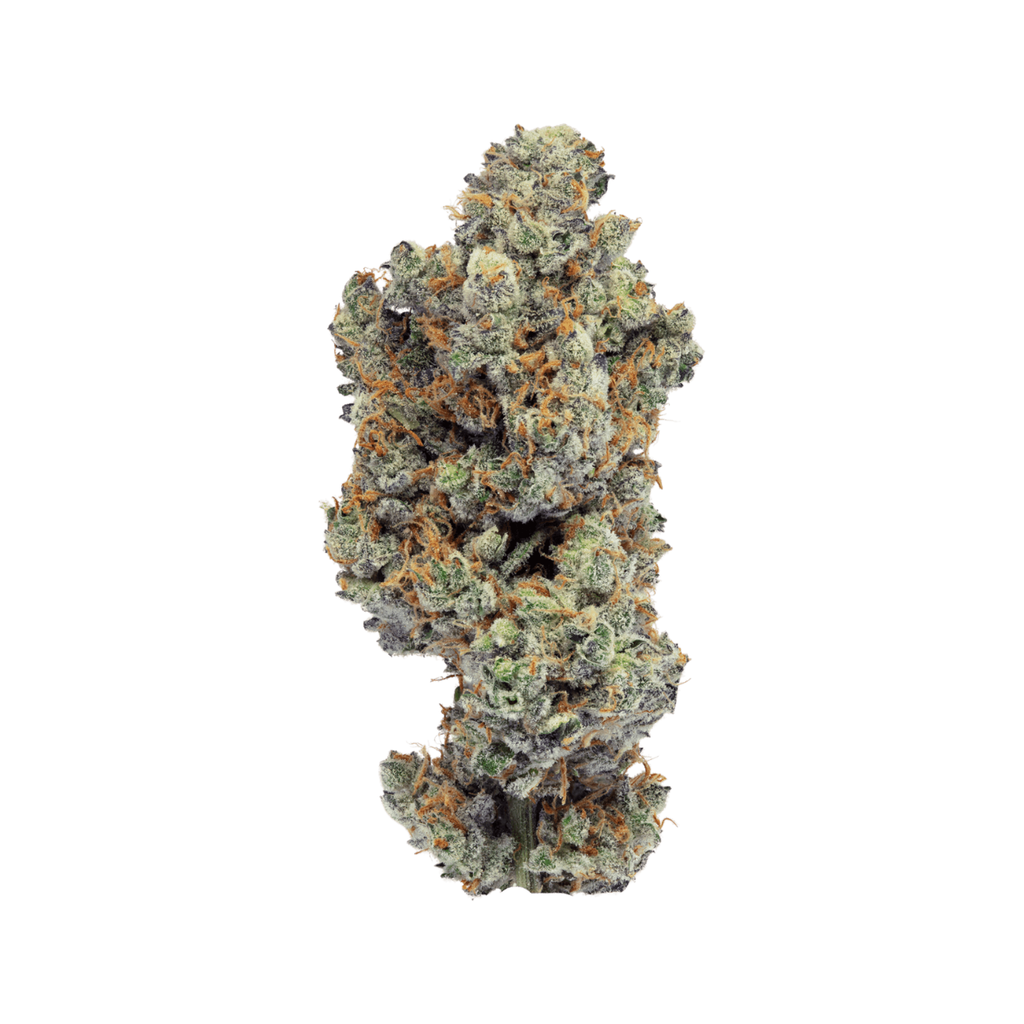 Med. Cannabis