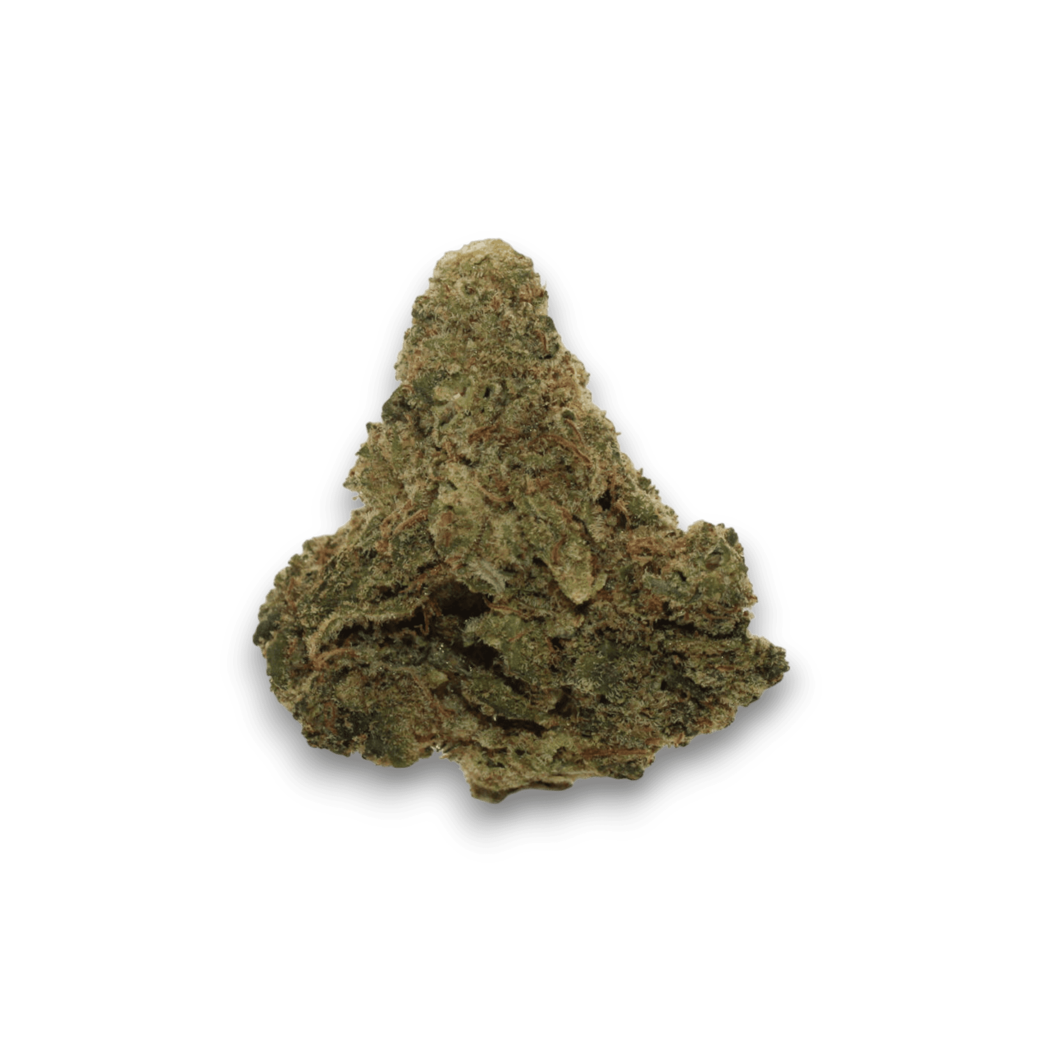 Blackrose 14 PT