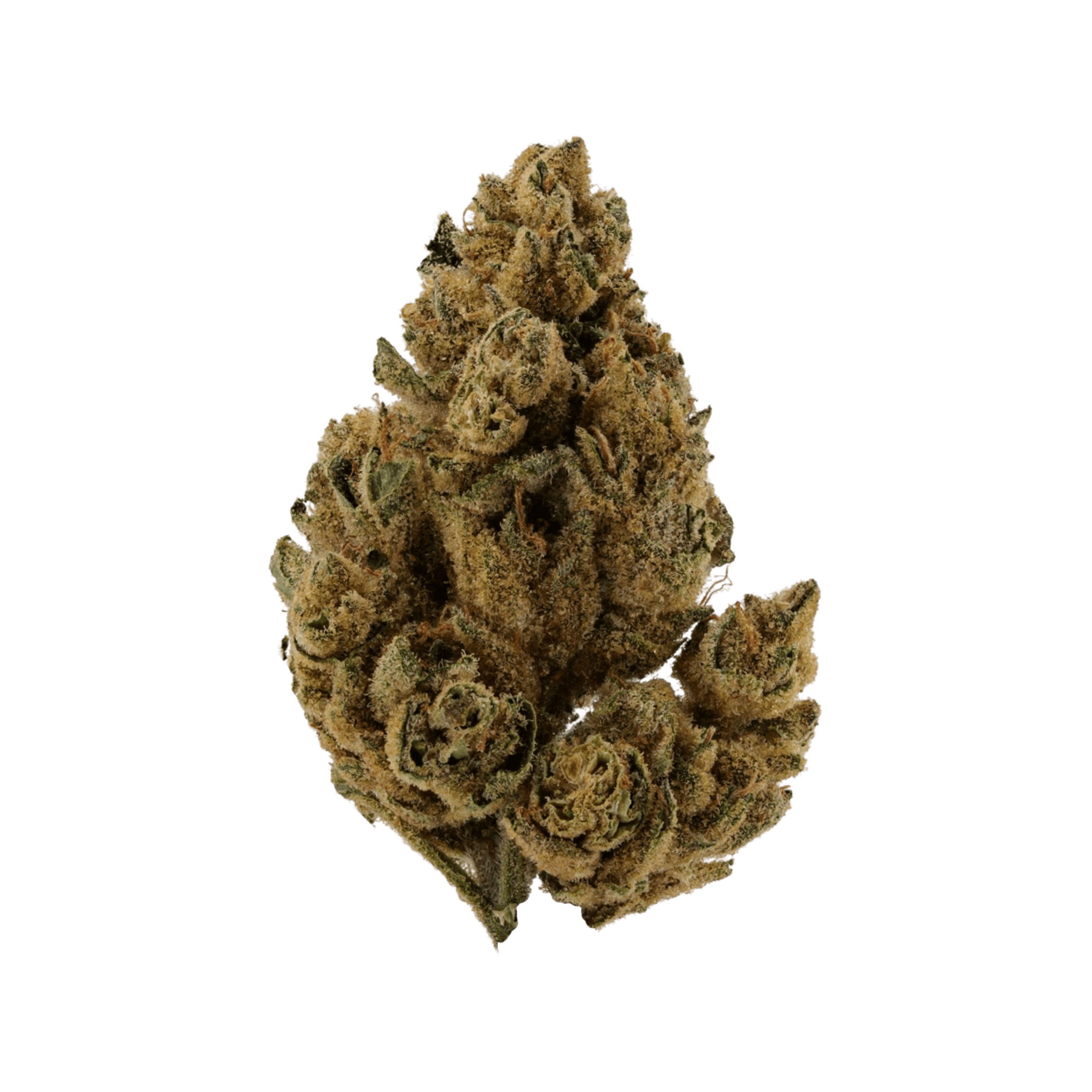 Cannabis flos 27/1 LS Ku. Oreo Mint Kush