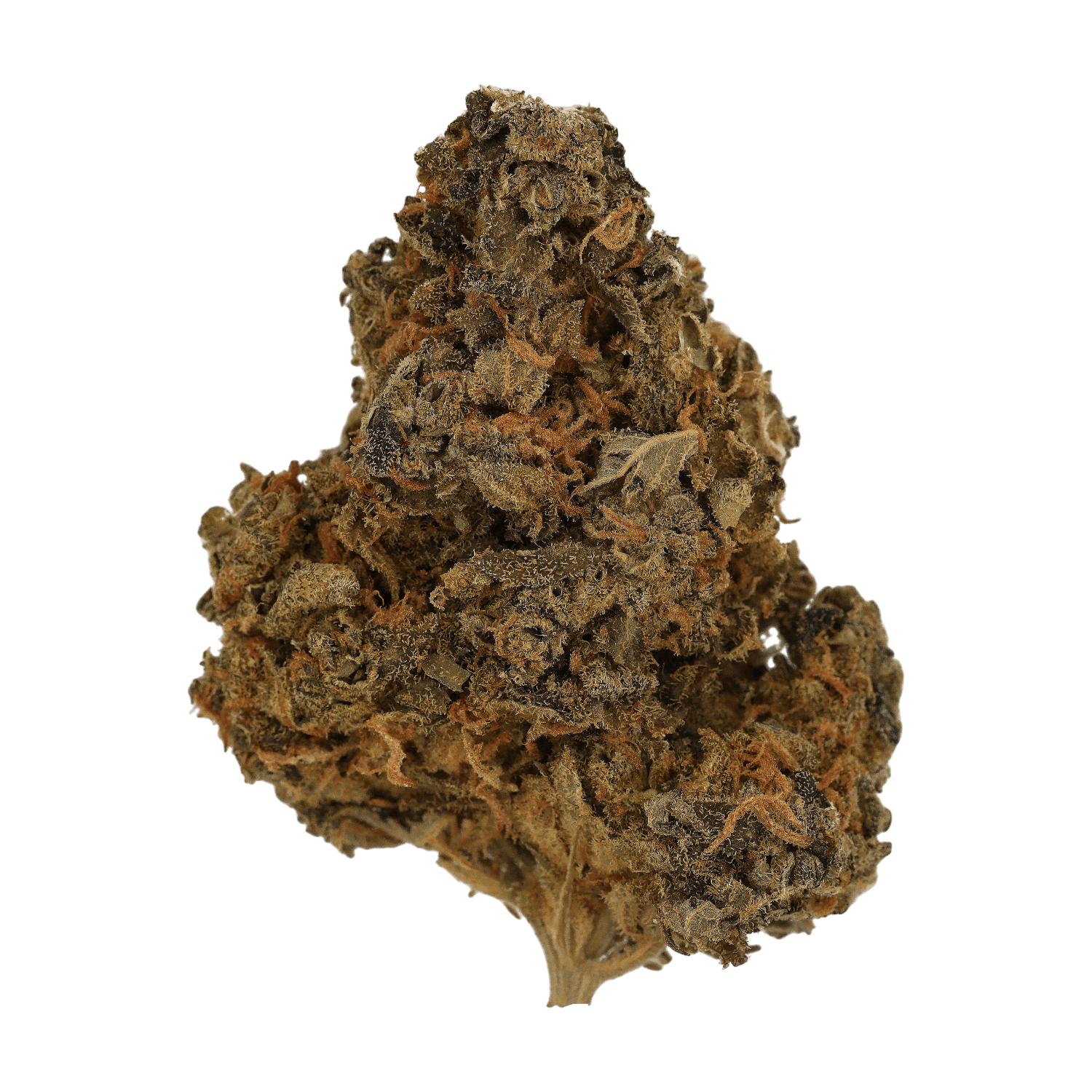 Cannamedical CM 18/1