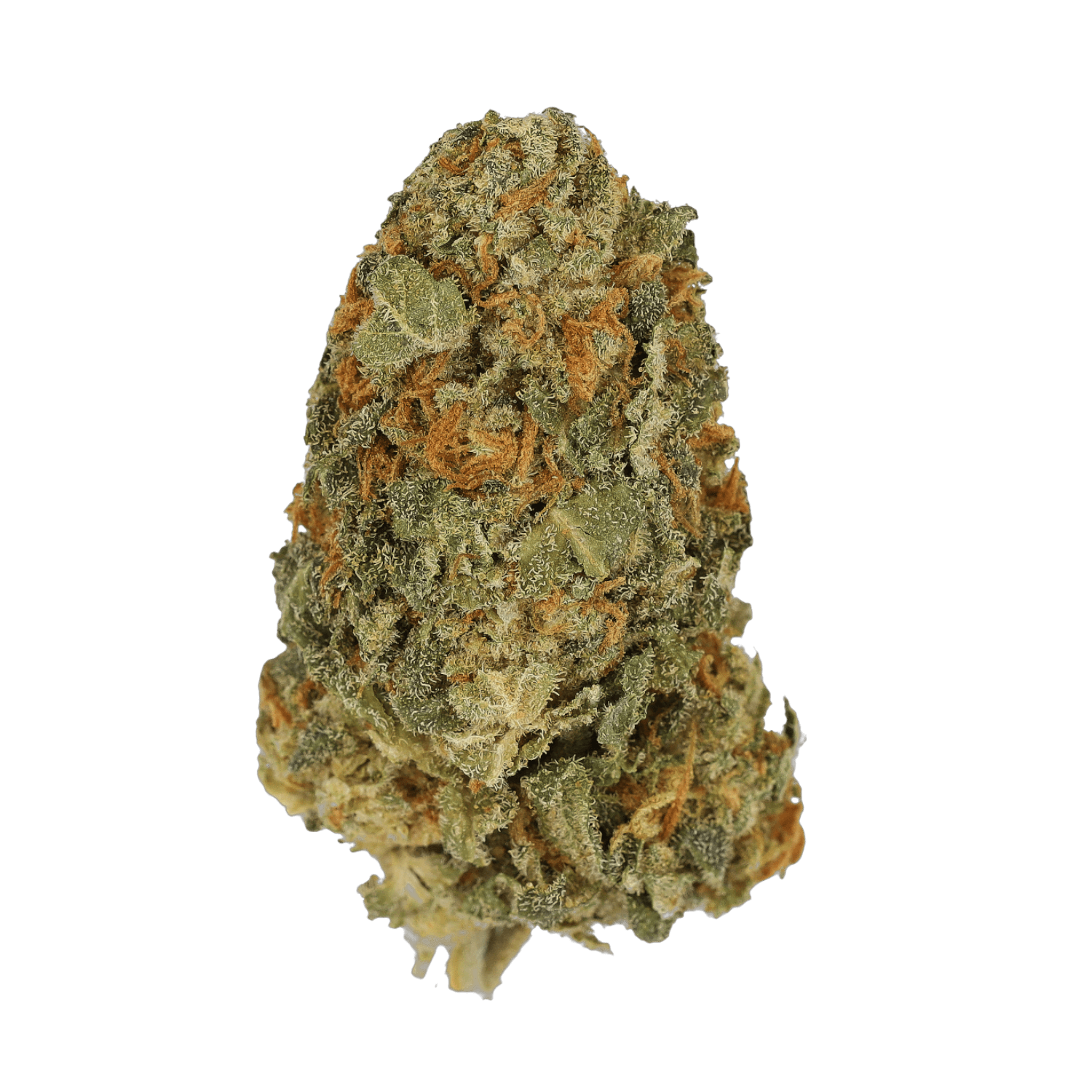 Cannamedical CM 24/1 BRY