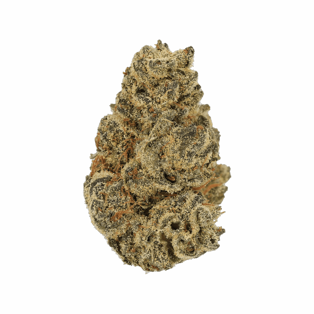 Orange Bud – Hybrid Classic KA