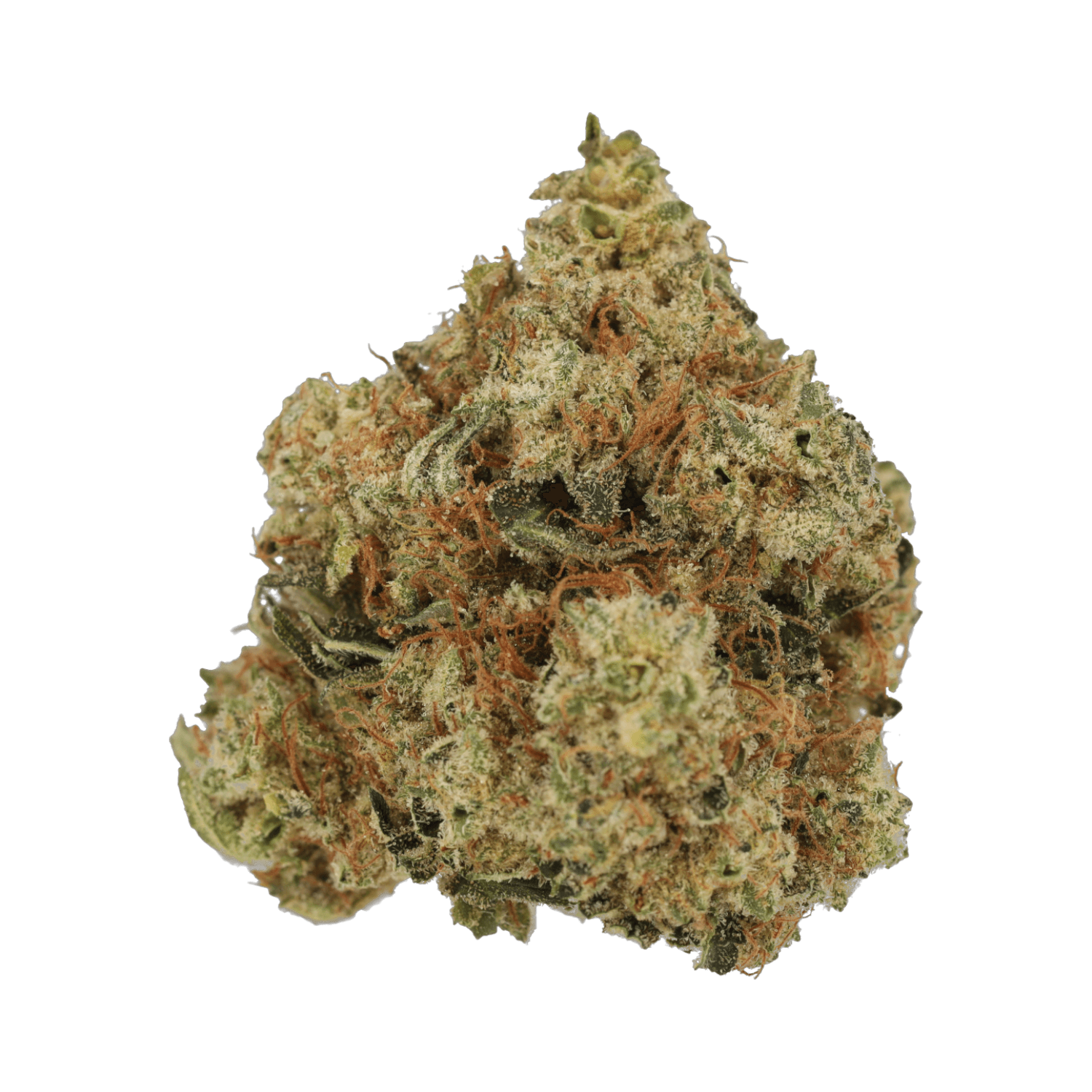 Cannamedical Hybrid Forte DK 24/1