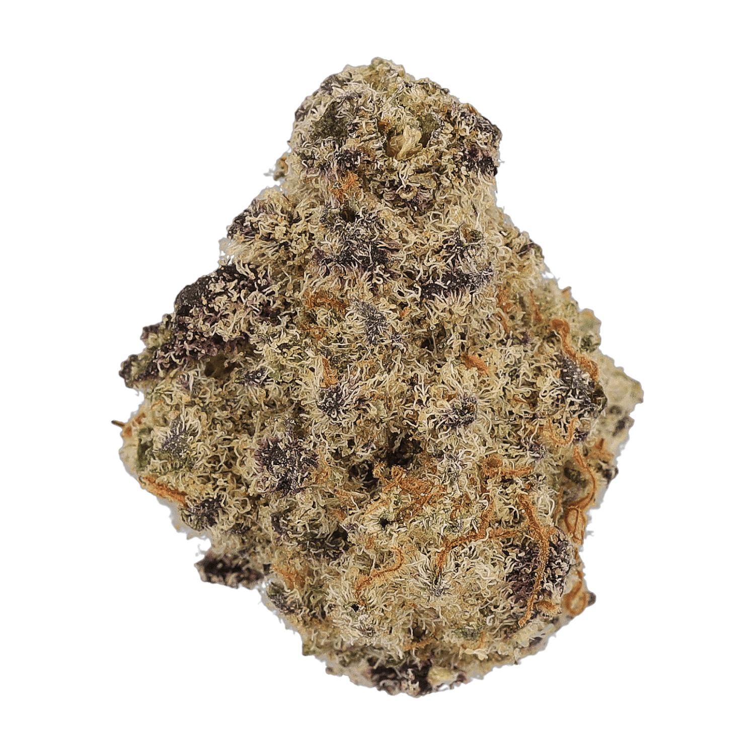 Cannamedical Hybrid Forte Mac 1