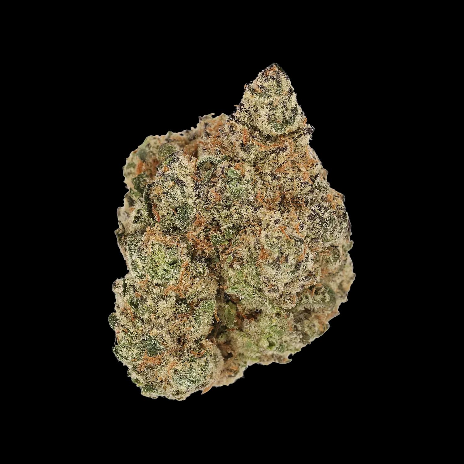 Cannamedical Hybrid Forte SA