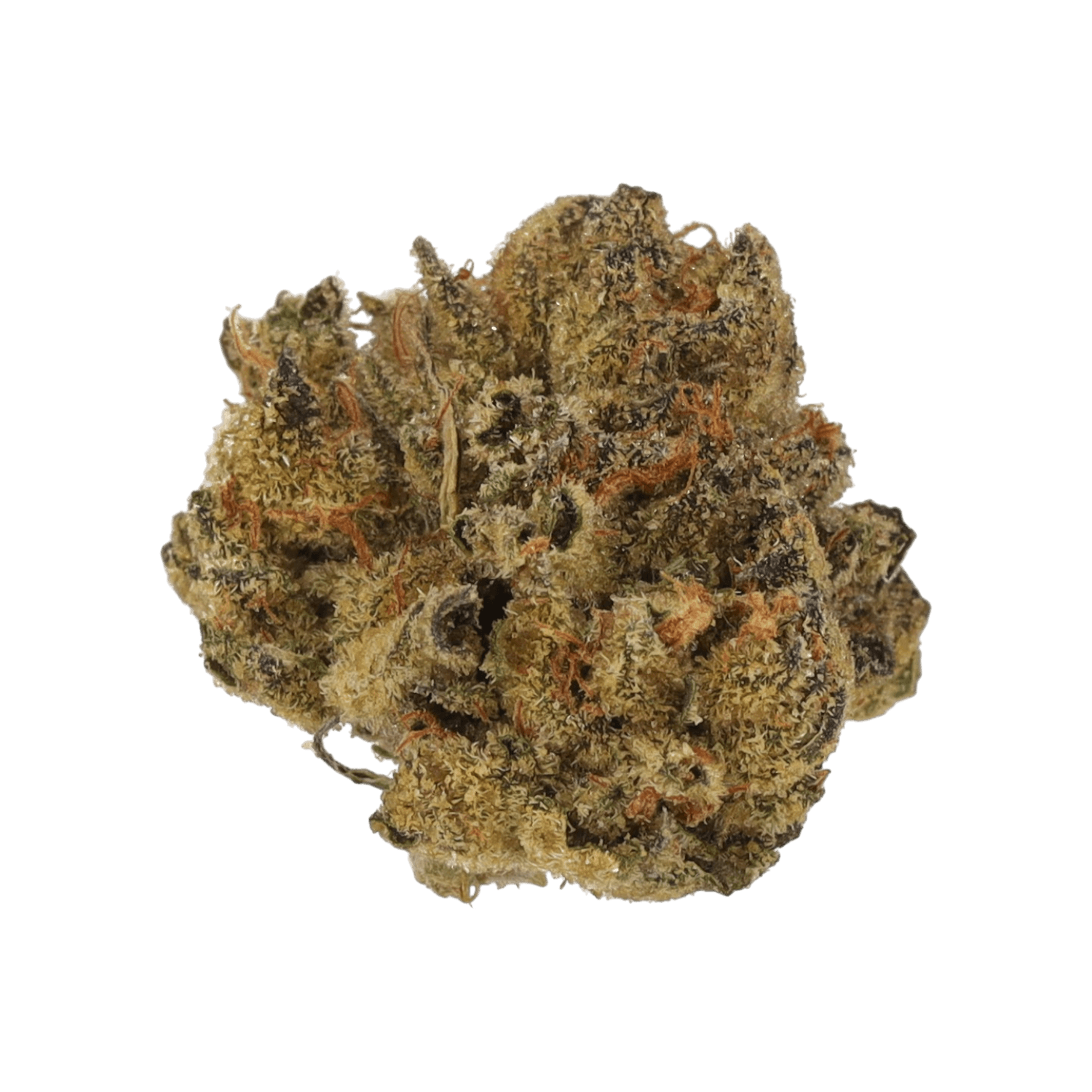 Cannamedical Indica Ultra CR