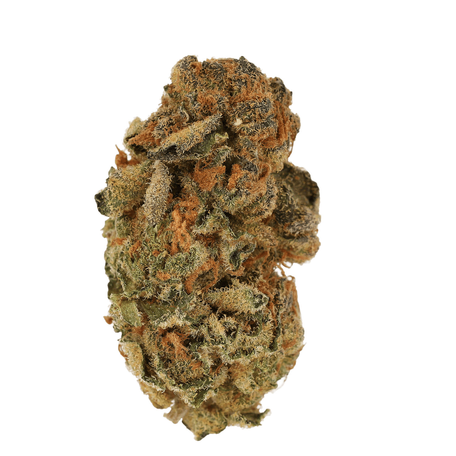 Cannamedical Sativa Forte MA LS