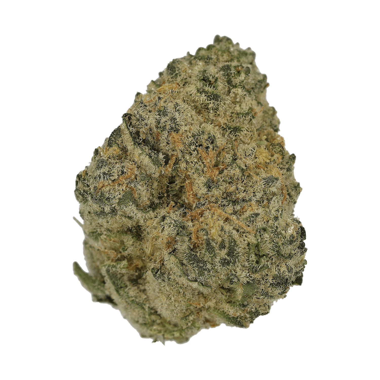 Cannamedical Sativa Ultra NM