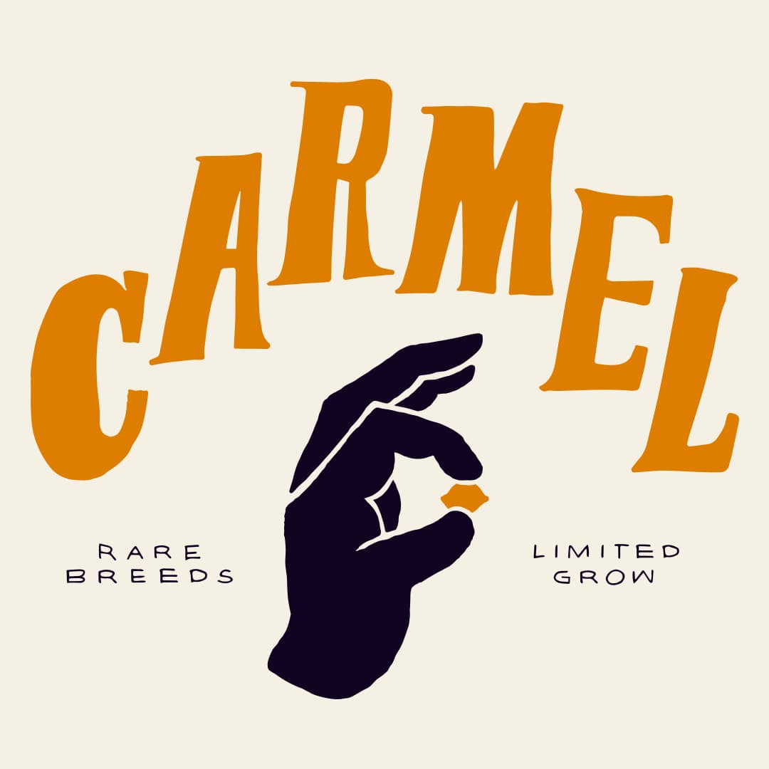 Carmel ANF 26/1