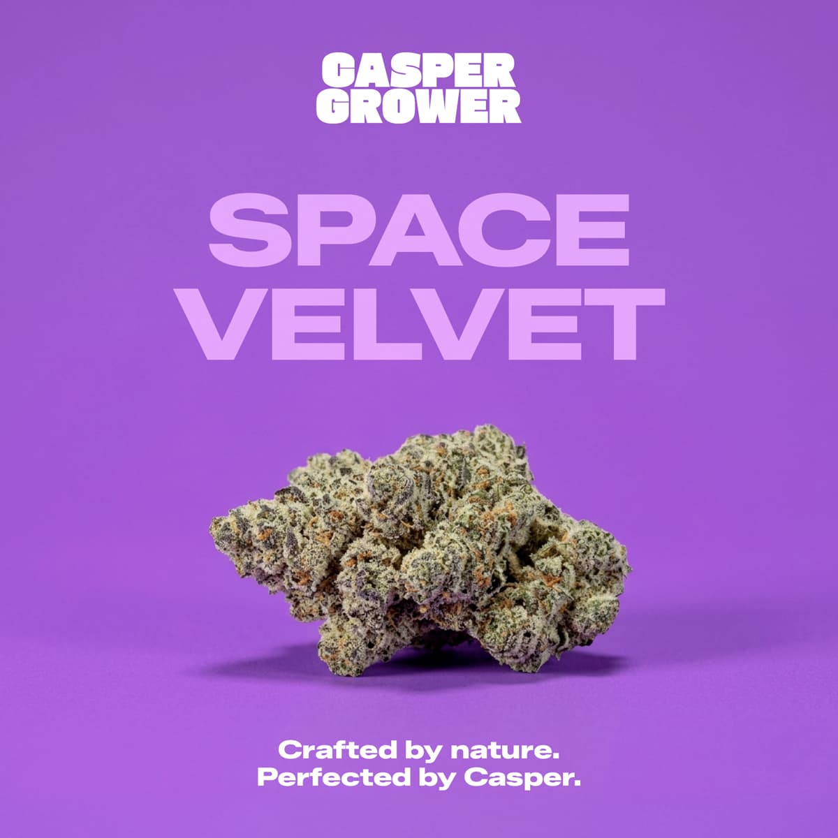 Casper´s No. 3 26/1