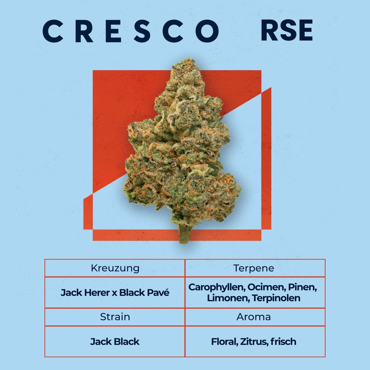 Cresco RSE 27/1