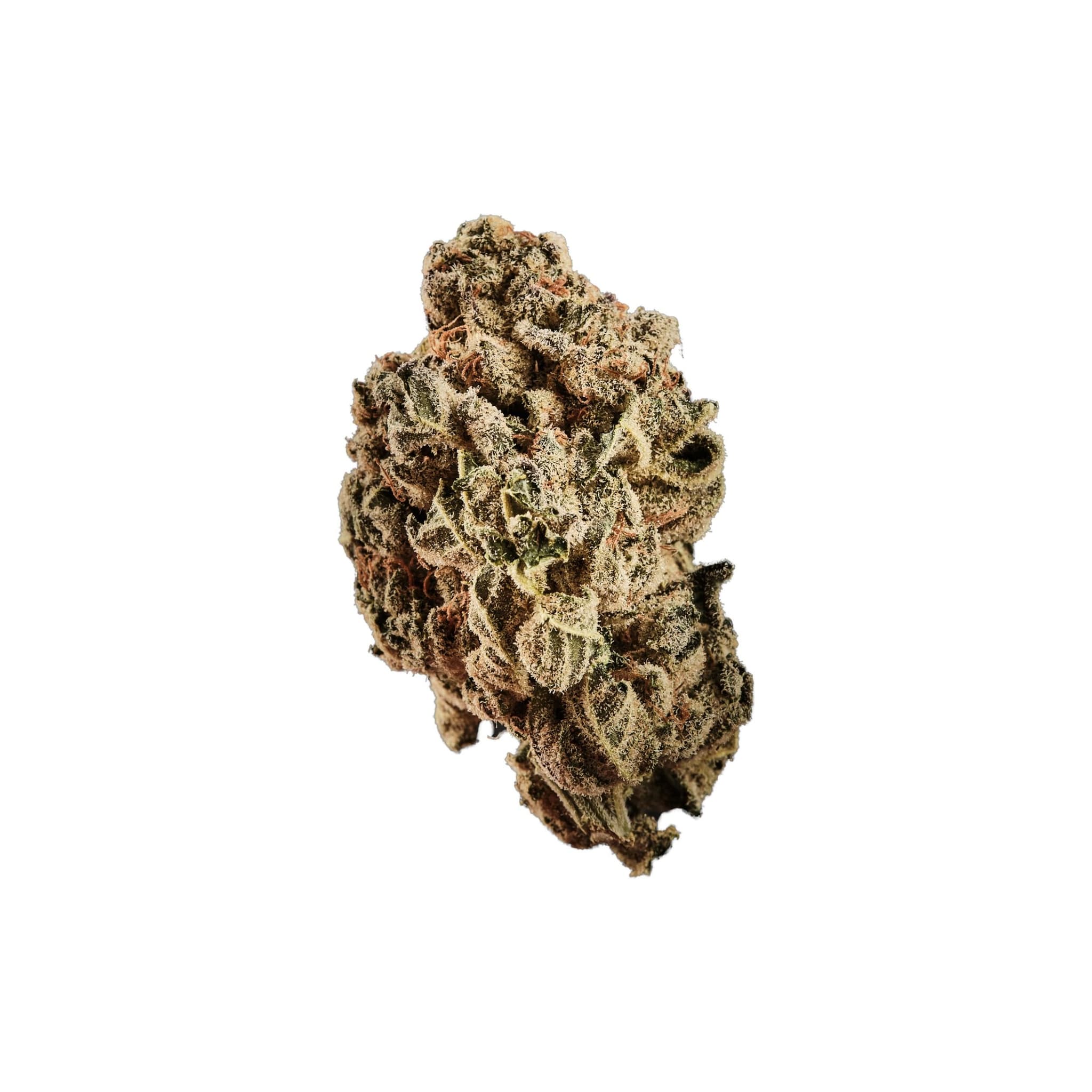 Curaleaf Natural 18/1 PT LVC