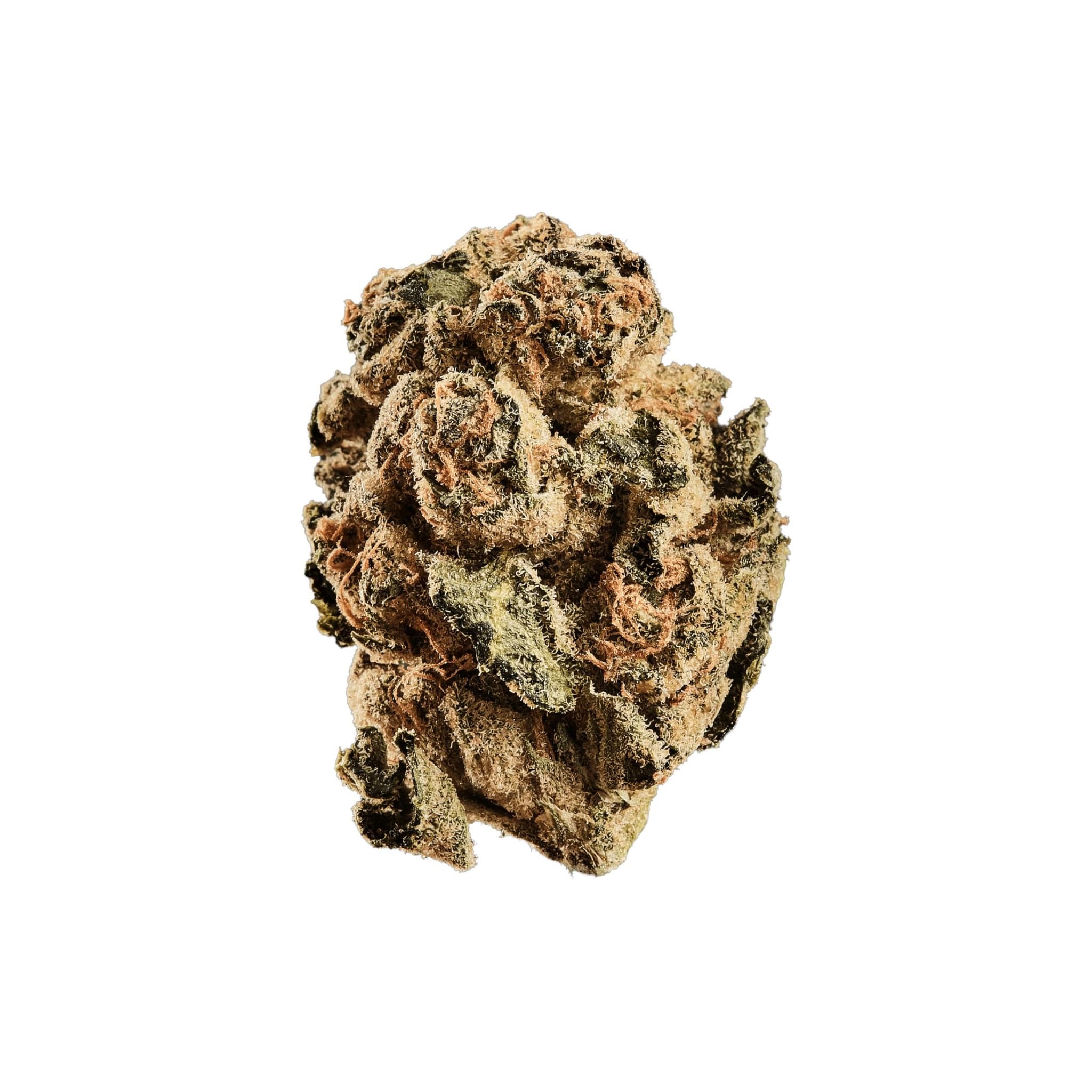 Curaleaf Natural 18/1 PT ZKS