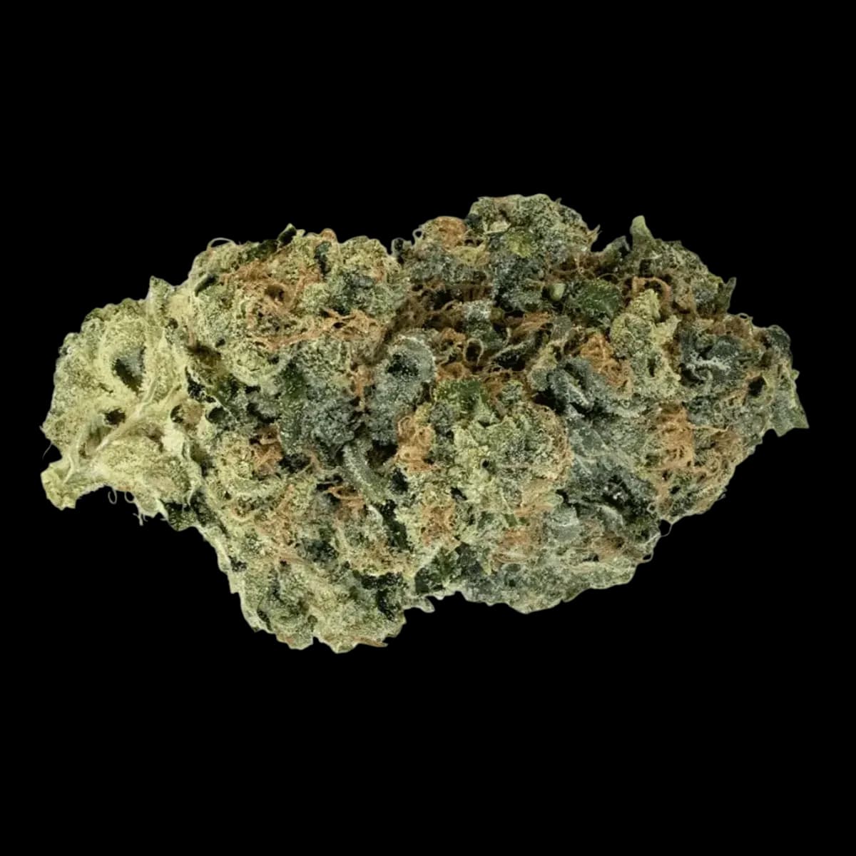 enua 27/1 GMO CA KC