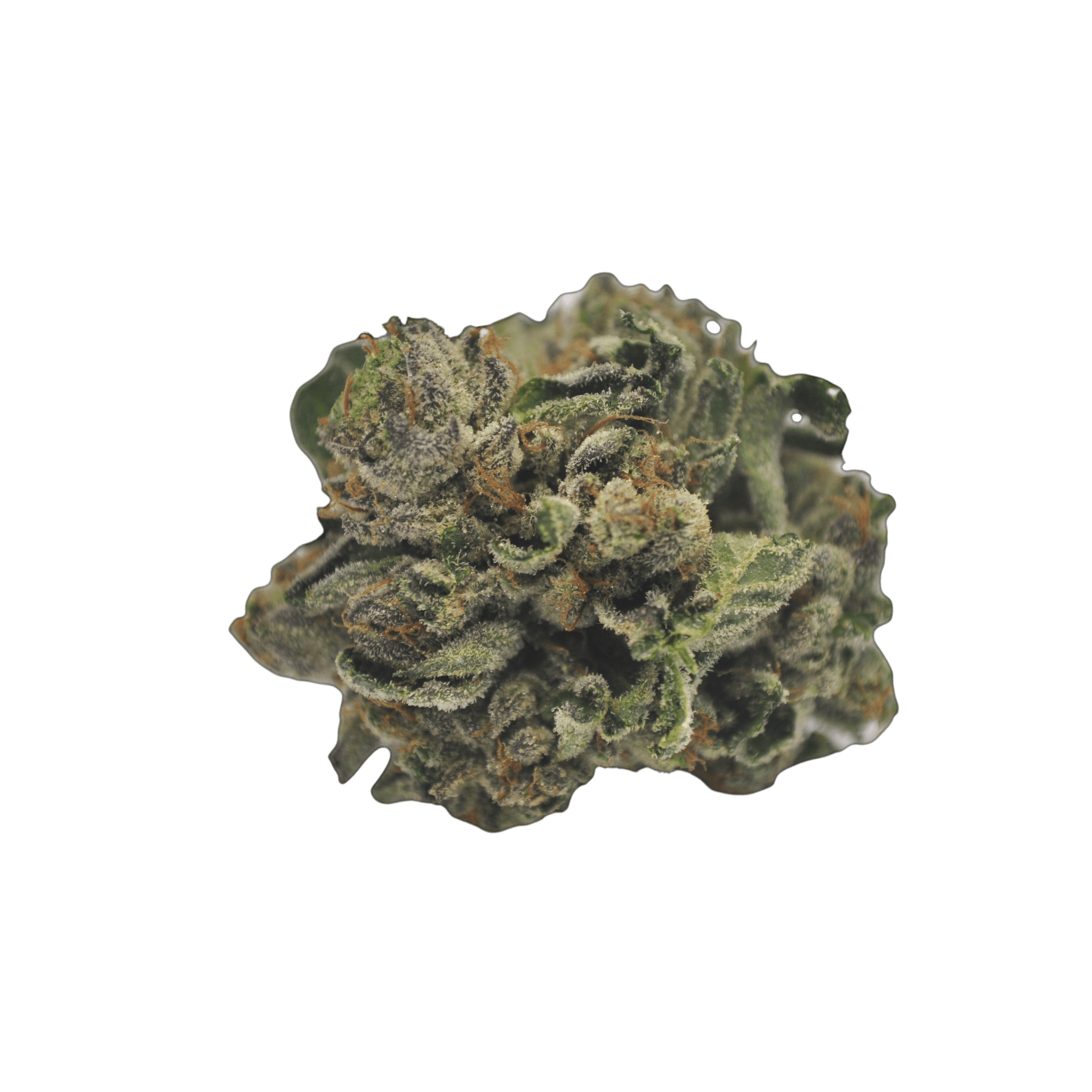 Good Supply Cannabisblüten THC28 PPS