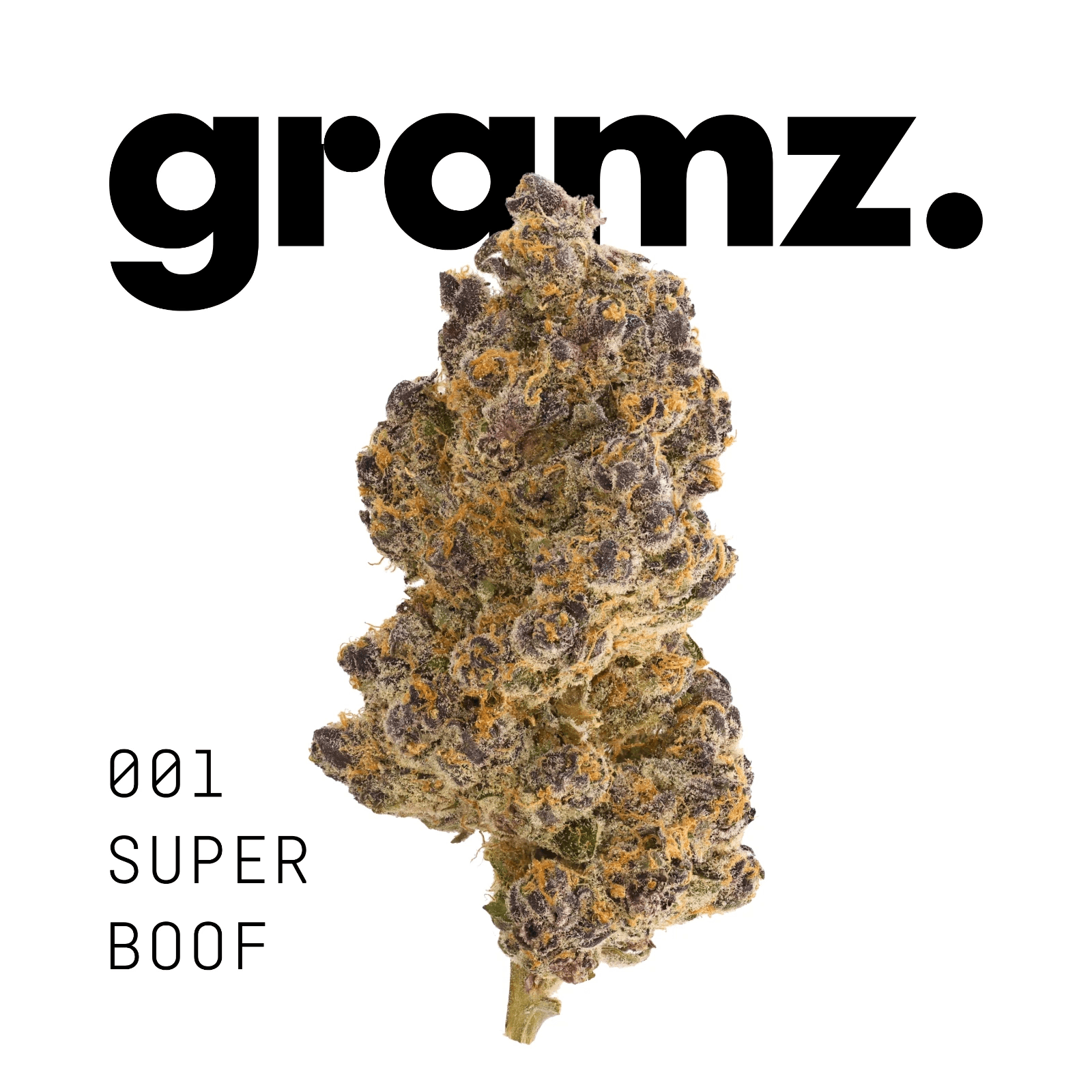 gramz. 001 SB 25/1