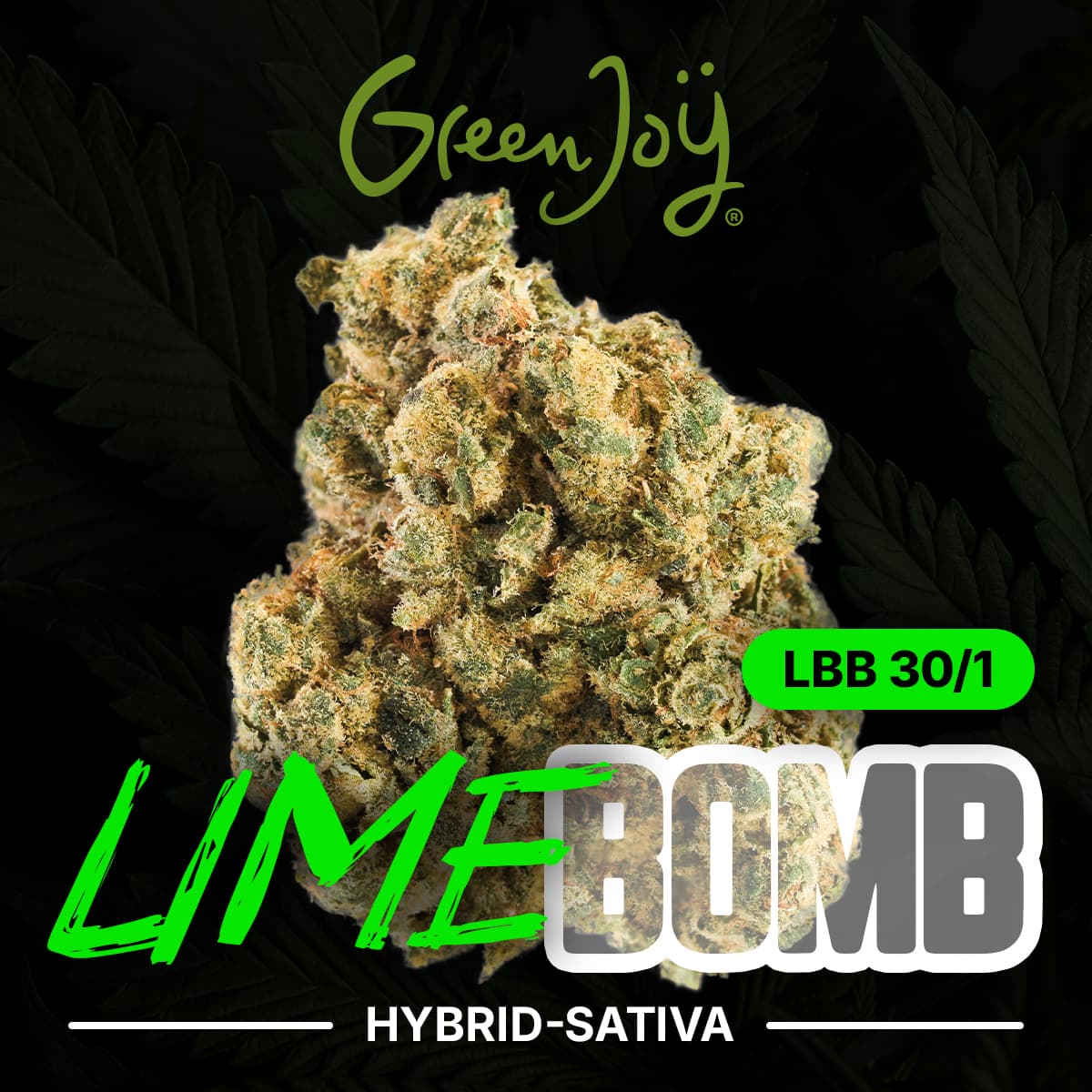 Med. Cannabis