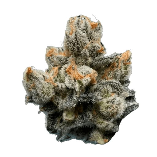 Med. Cannabis