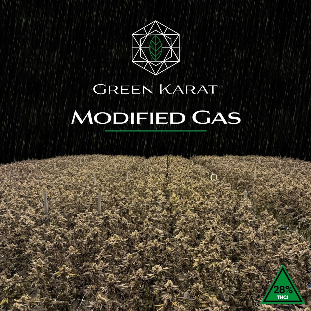 Green Karat MG PT