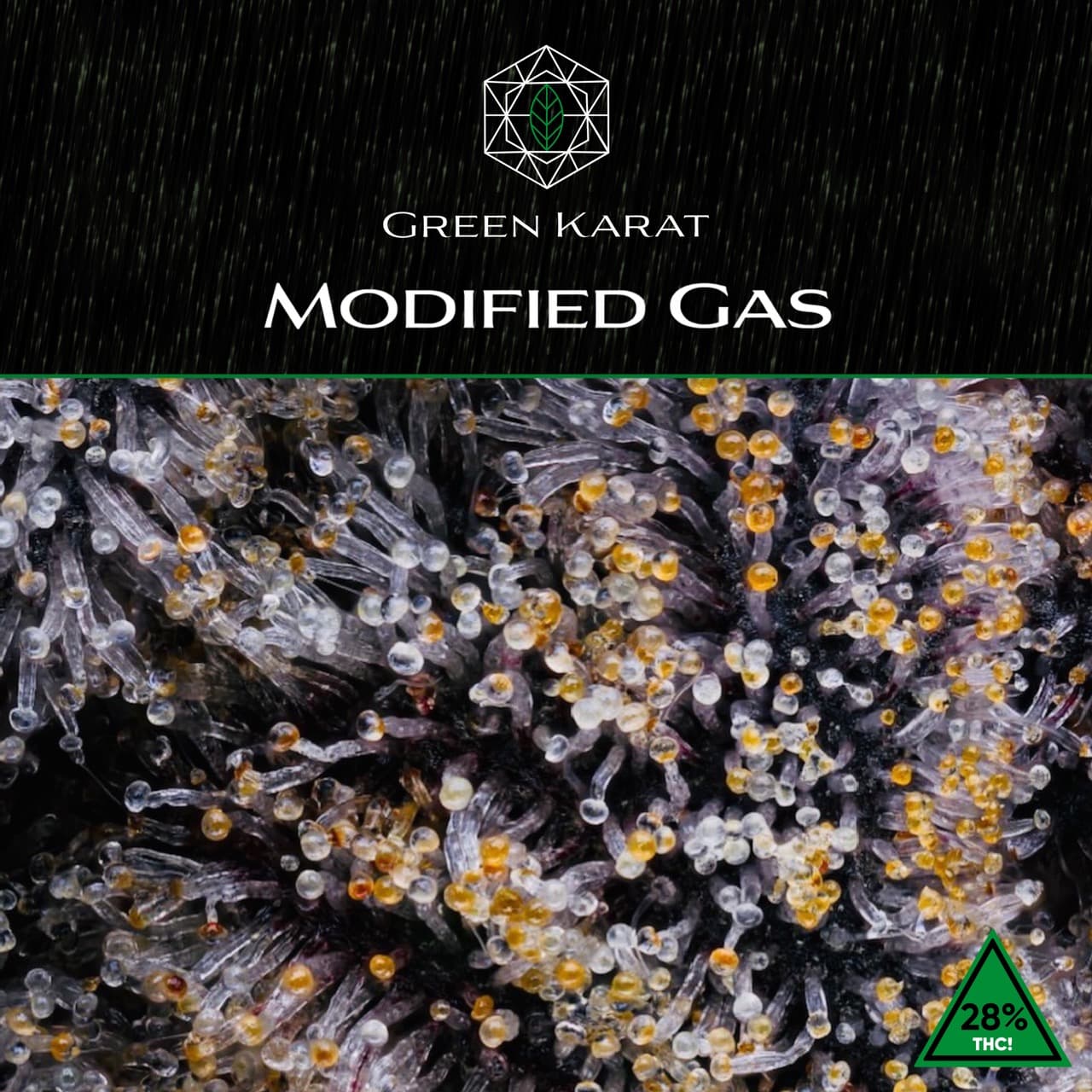 Green Karat MG PT