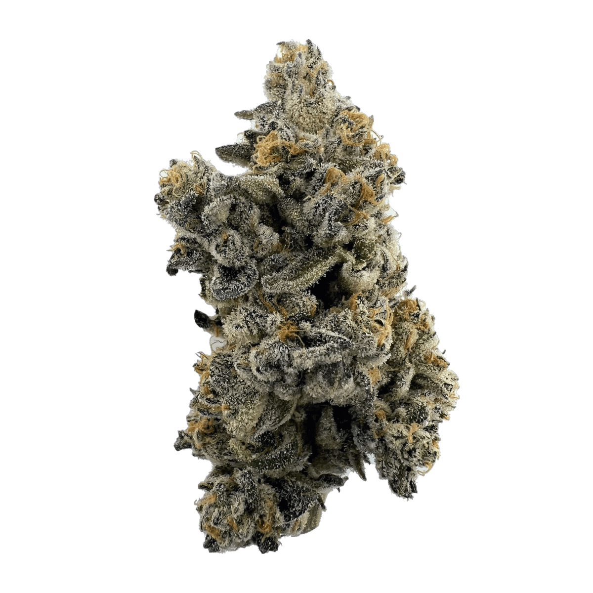Med. Cannabis