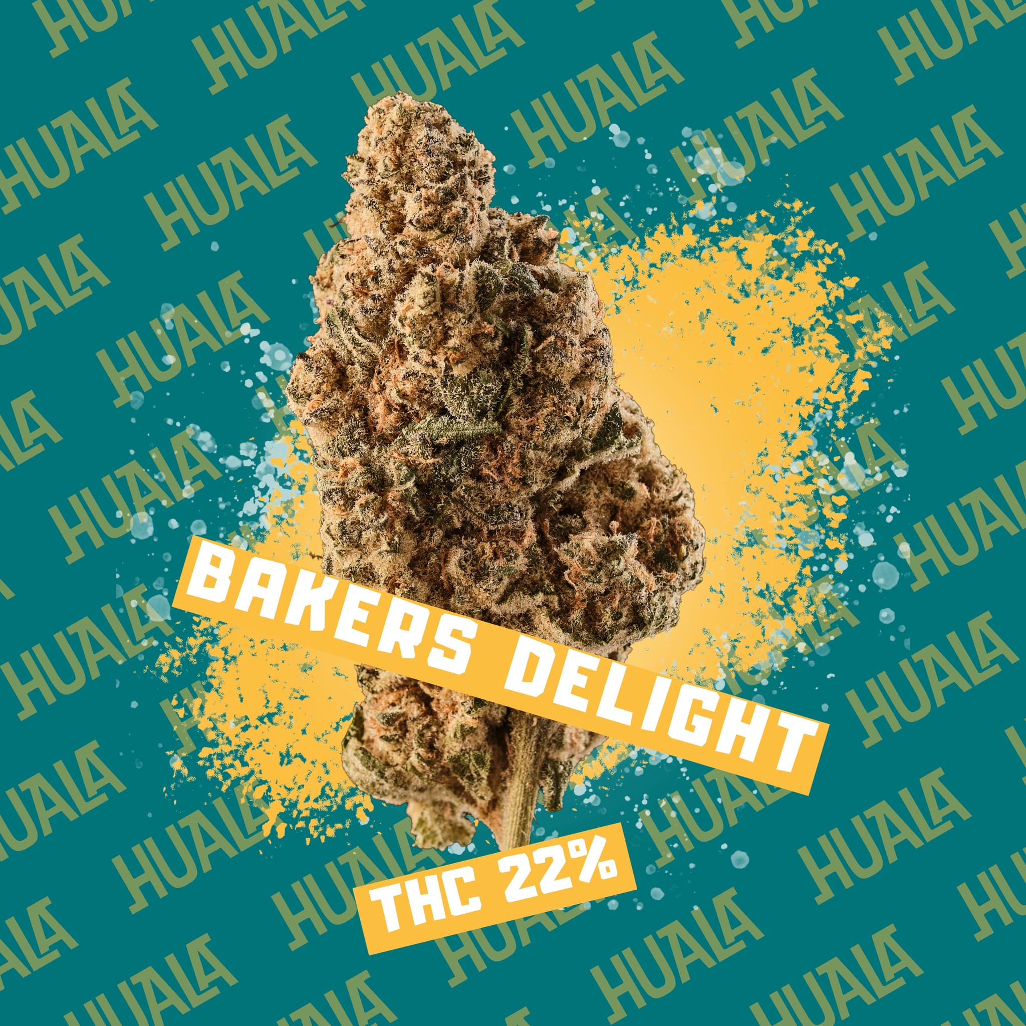 Huala 22/1 BDL