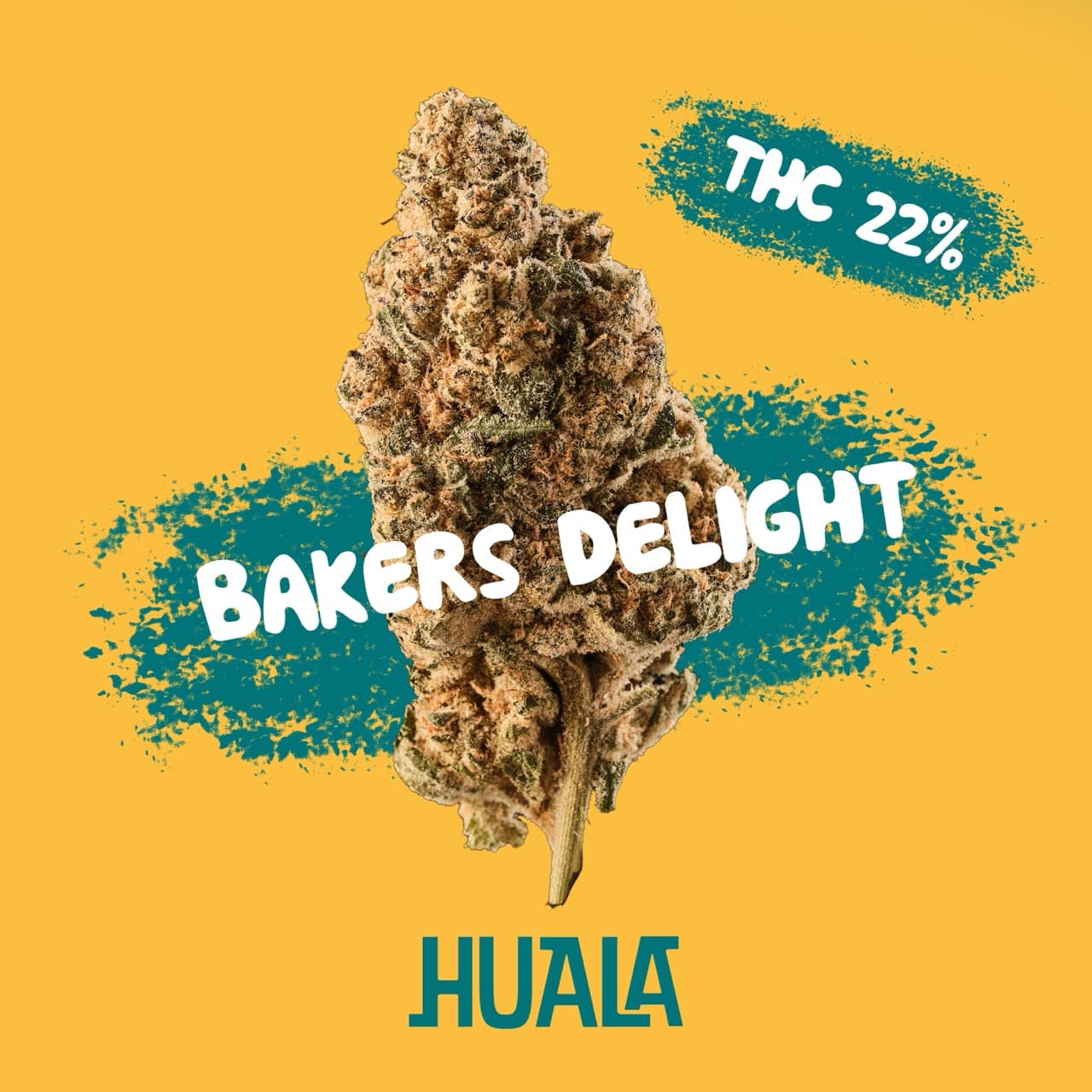 Huala 22/1 BDL