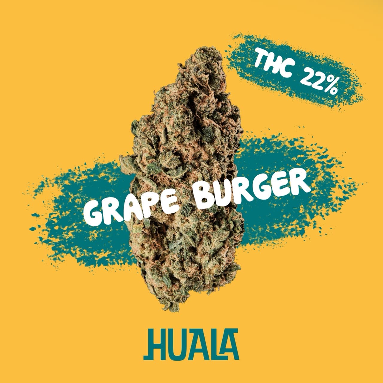 HUALA 22/1 CA CBG