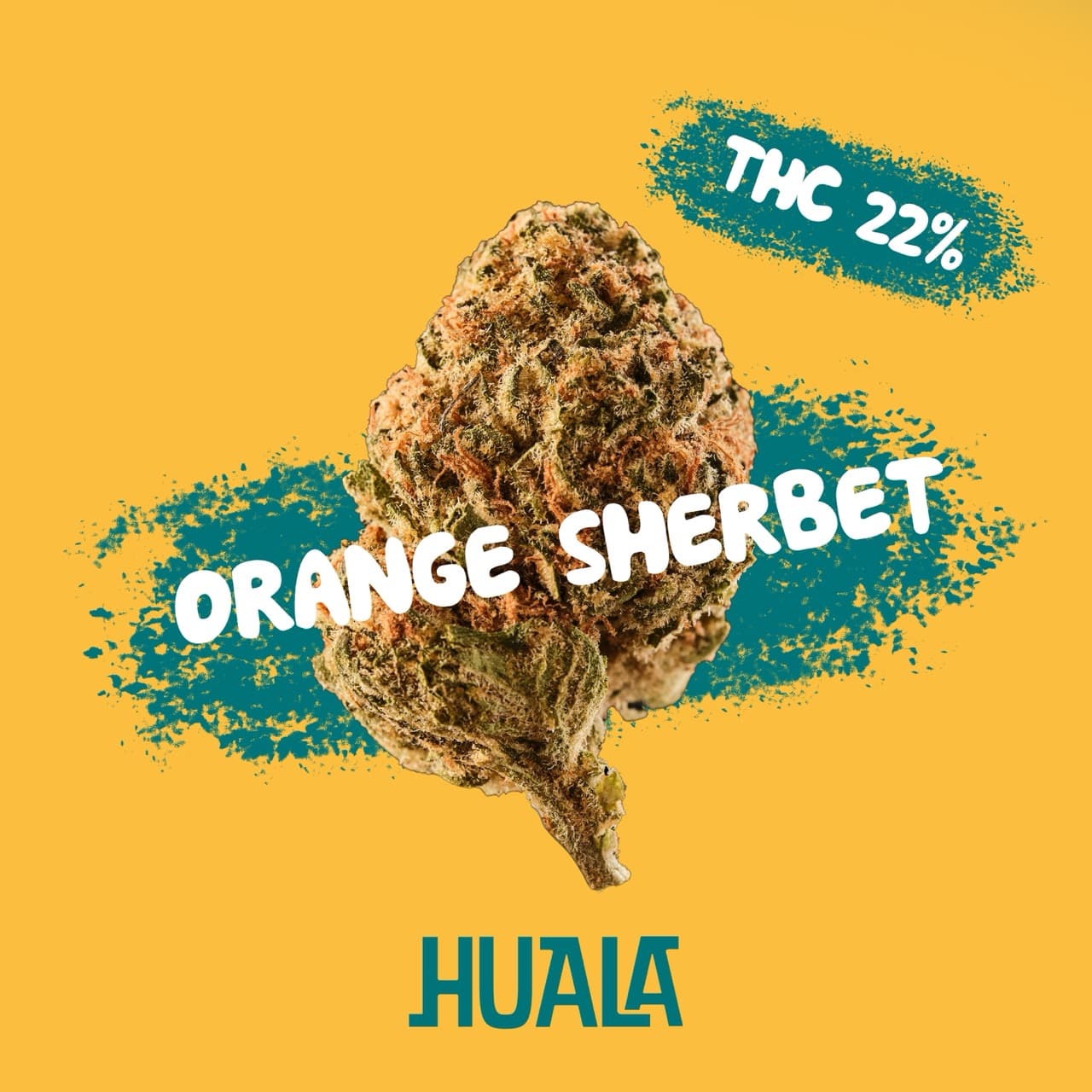 Huala 22/1 CA OSB