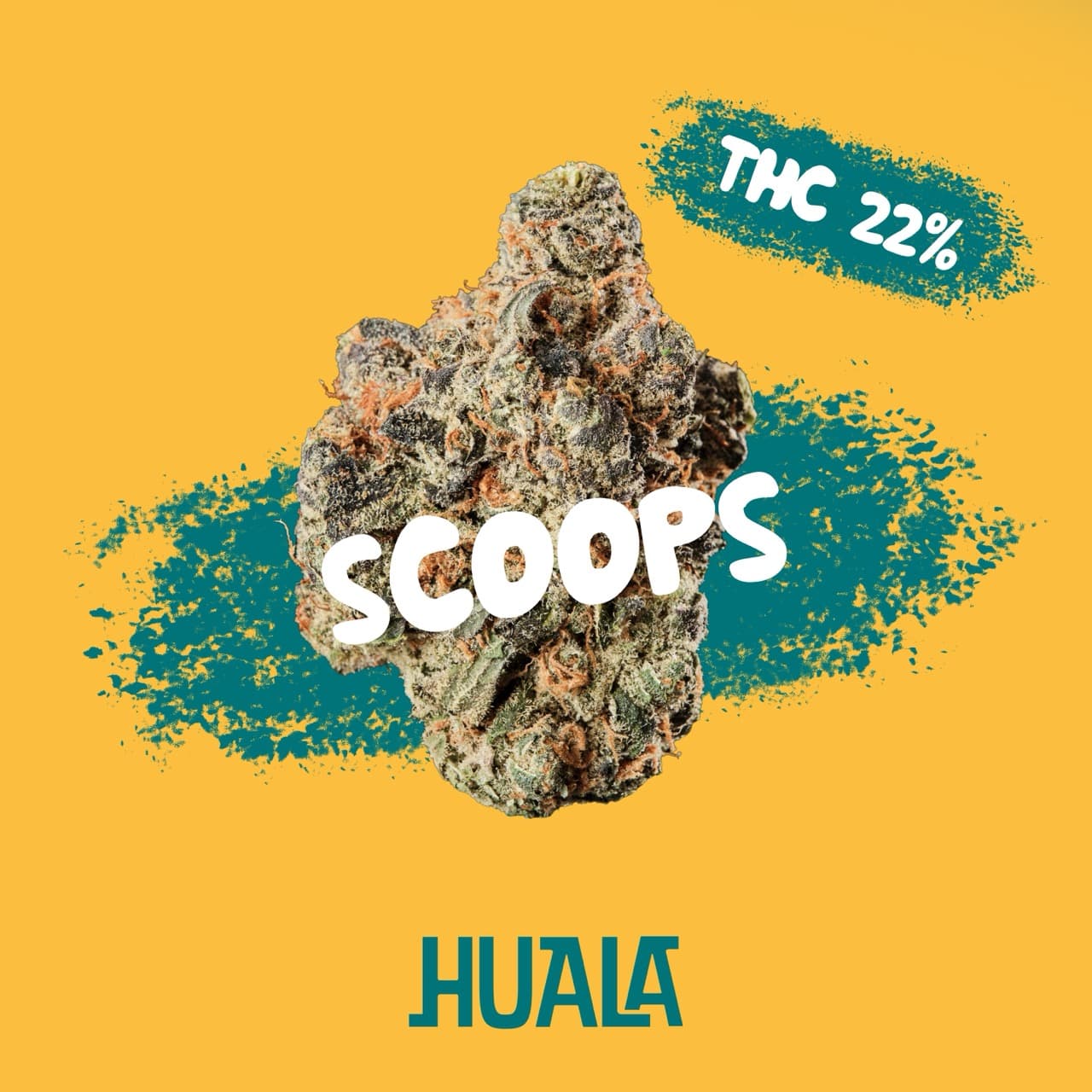 HUALA 22/1 CA SCO