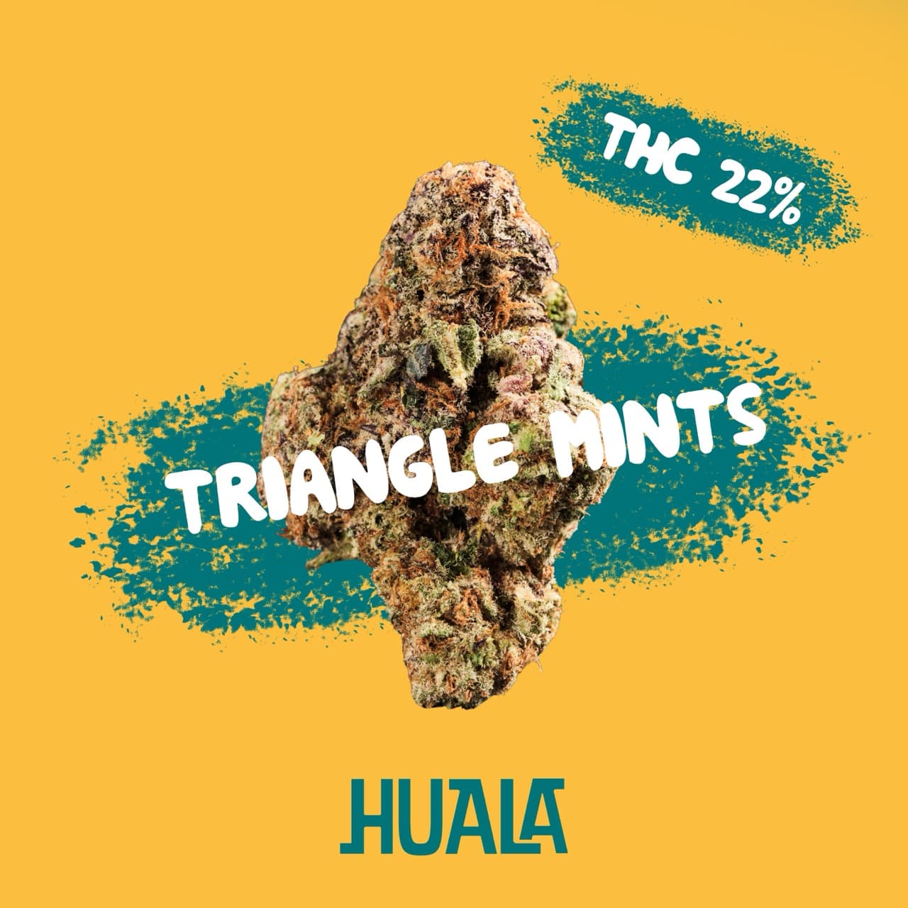 Huala 22/1 CA TRM