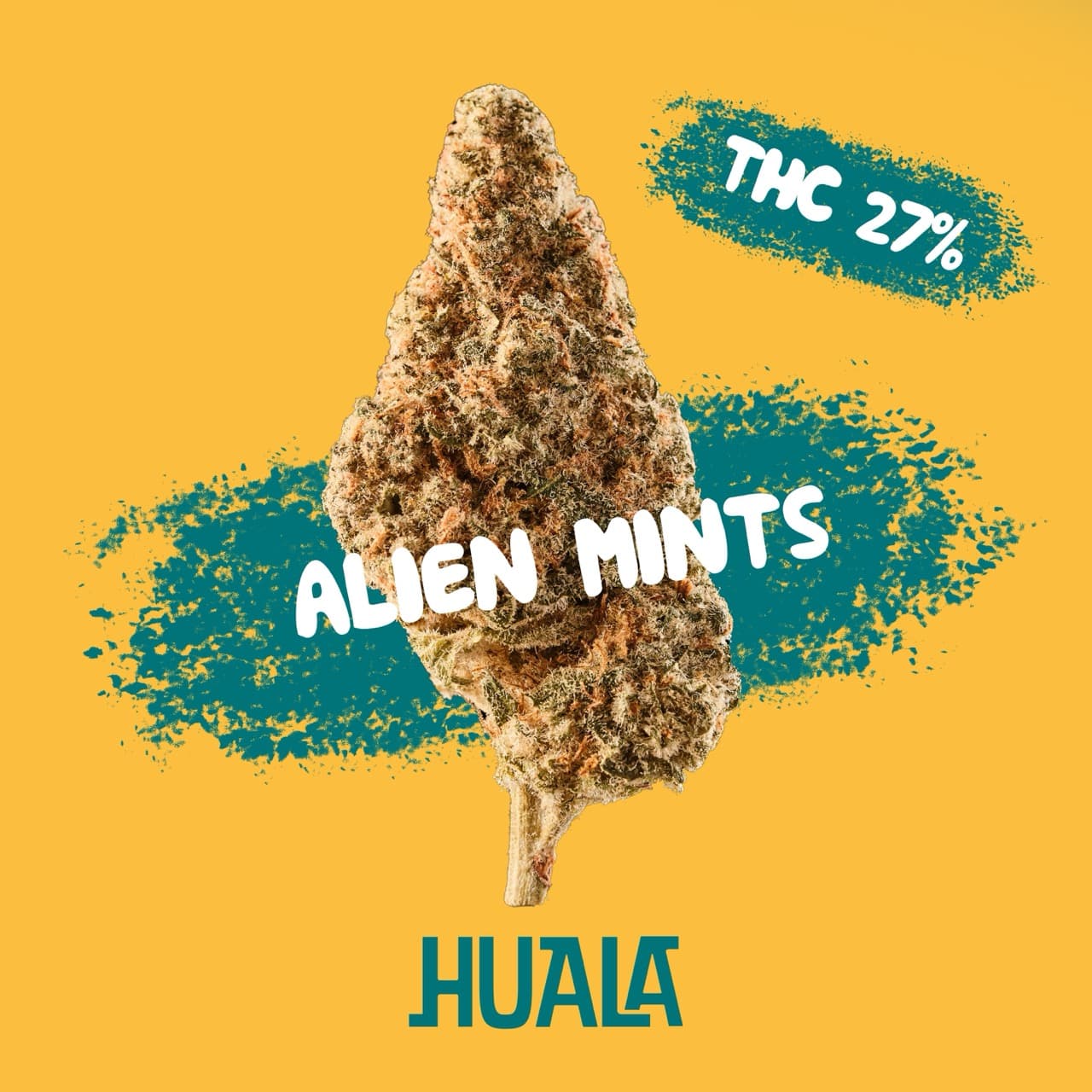 Huala 27/1 CA ALM