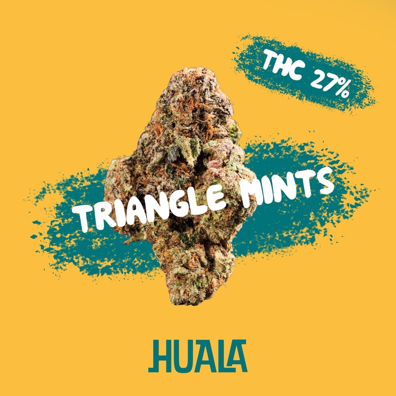 Huala 27/1 CA TRM